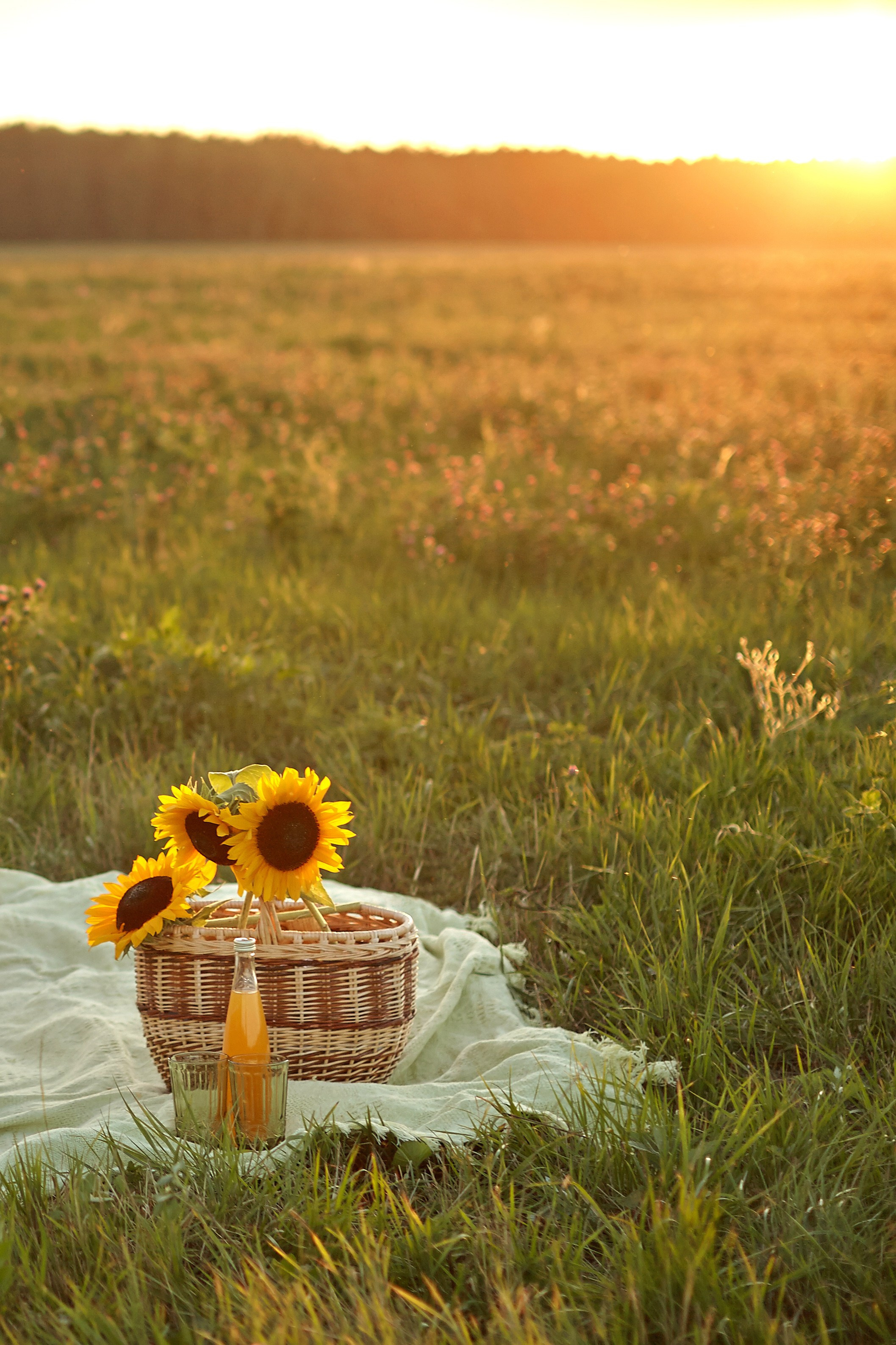 Мама с дочкой в поле на закате. Фотограф Ольга Ефремова