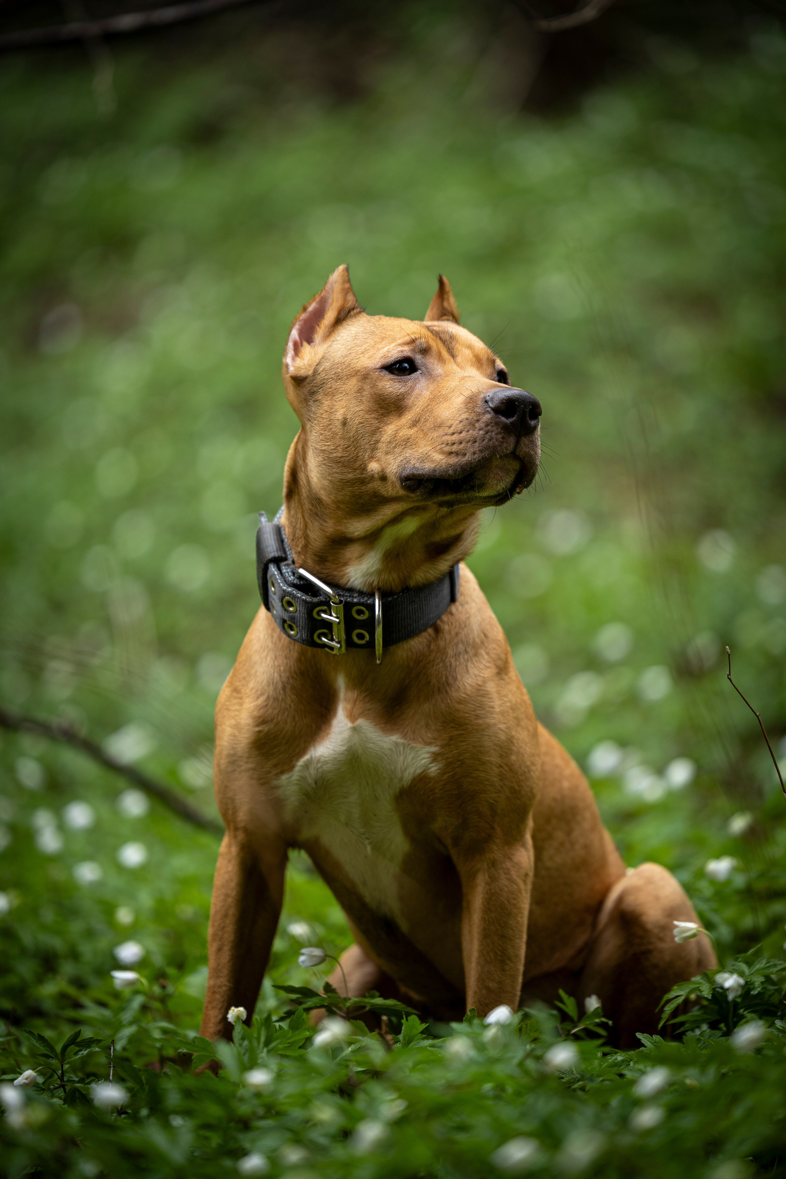 Миура. Фотограф-анималист Анна Маринич