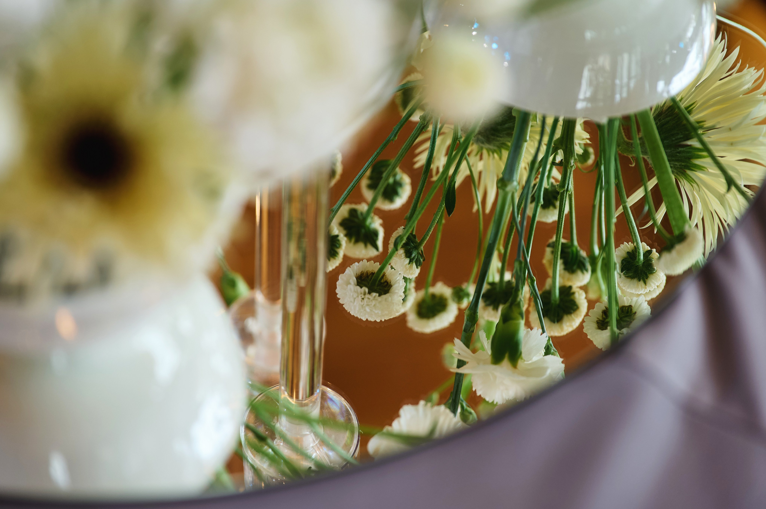 Lesnoy Village. Фотограф Опыт Качество Скорость Горный Алтай Барнаул