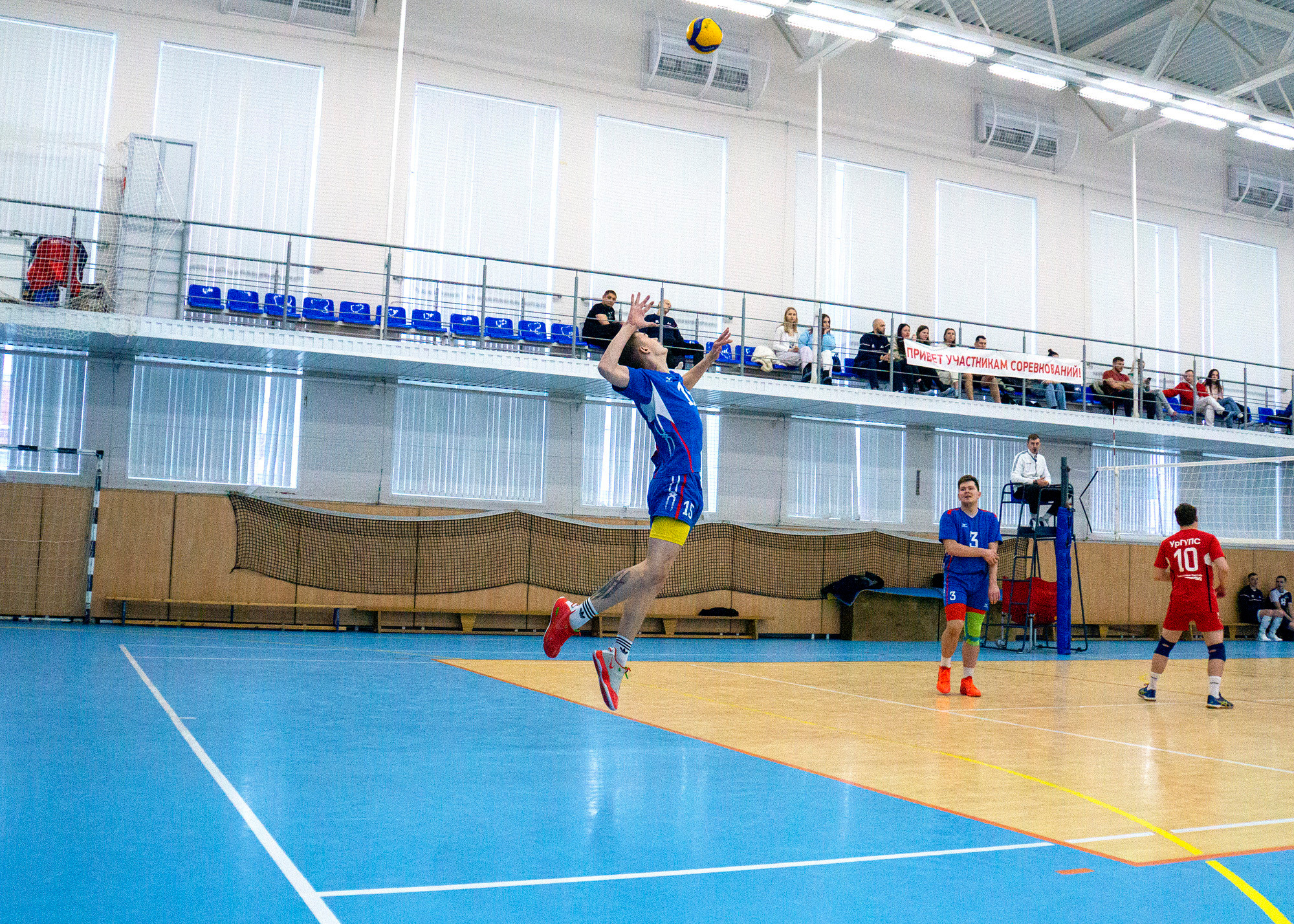 Спорт: Чемпионат области — волейбол 2022. Фотограф в Екатеринбурге Светлана Ренжина