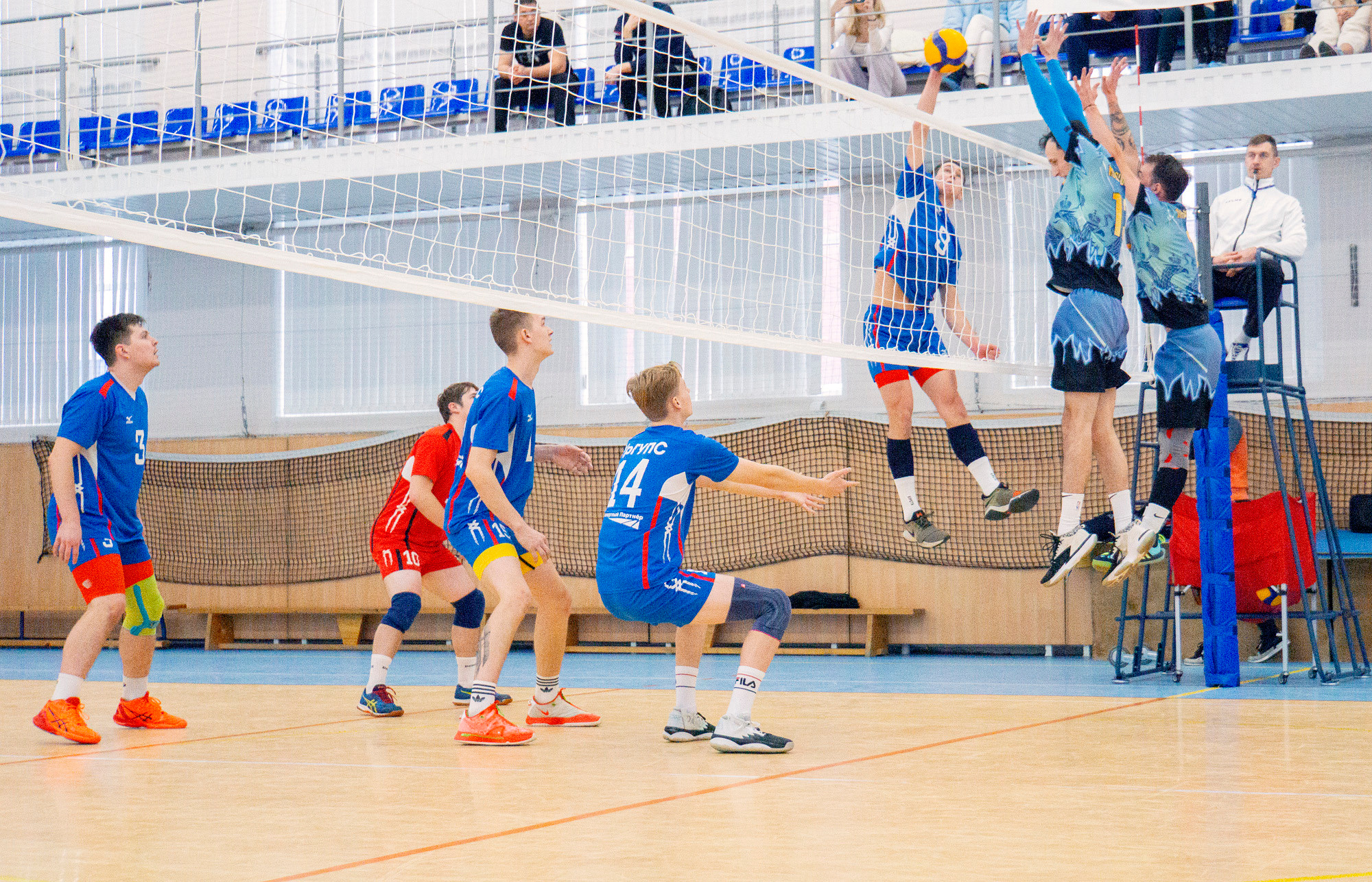 Спорт: Чемпионат области — волейбол 2022. Фотограф в Екатеринбурге Светлана Ренжина
