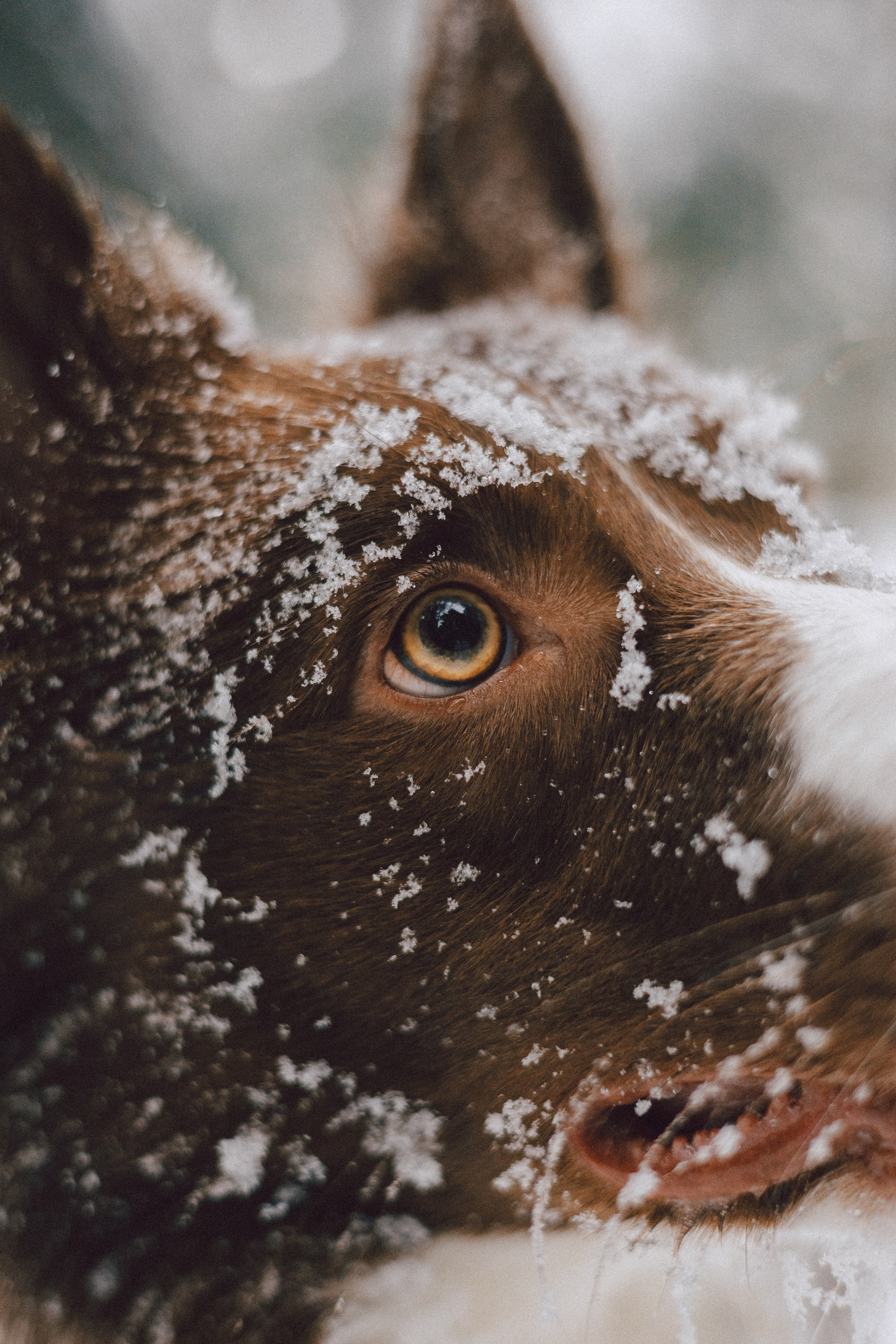 Настя и Ваня. Фотограф Анна Луценко Москва