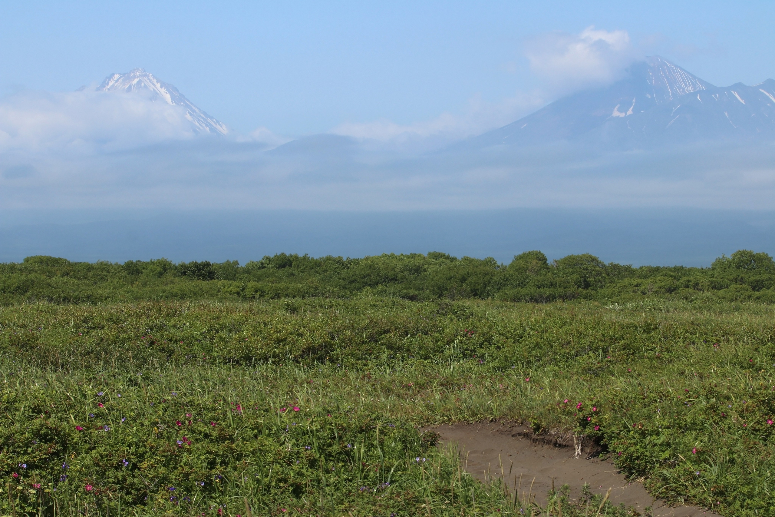 Камчатка и о. Парамушир. Июль 2024. Путешественник-фотограф из Санкт-Петербурга Татьяна Свистулина