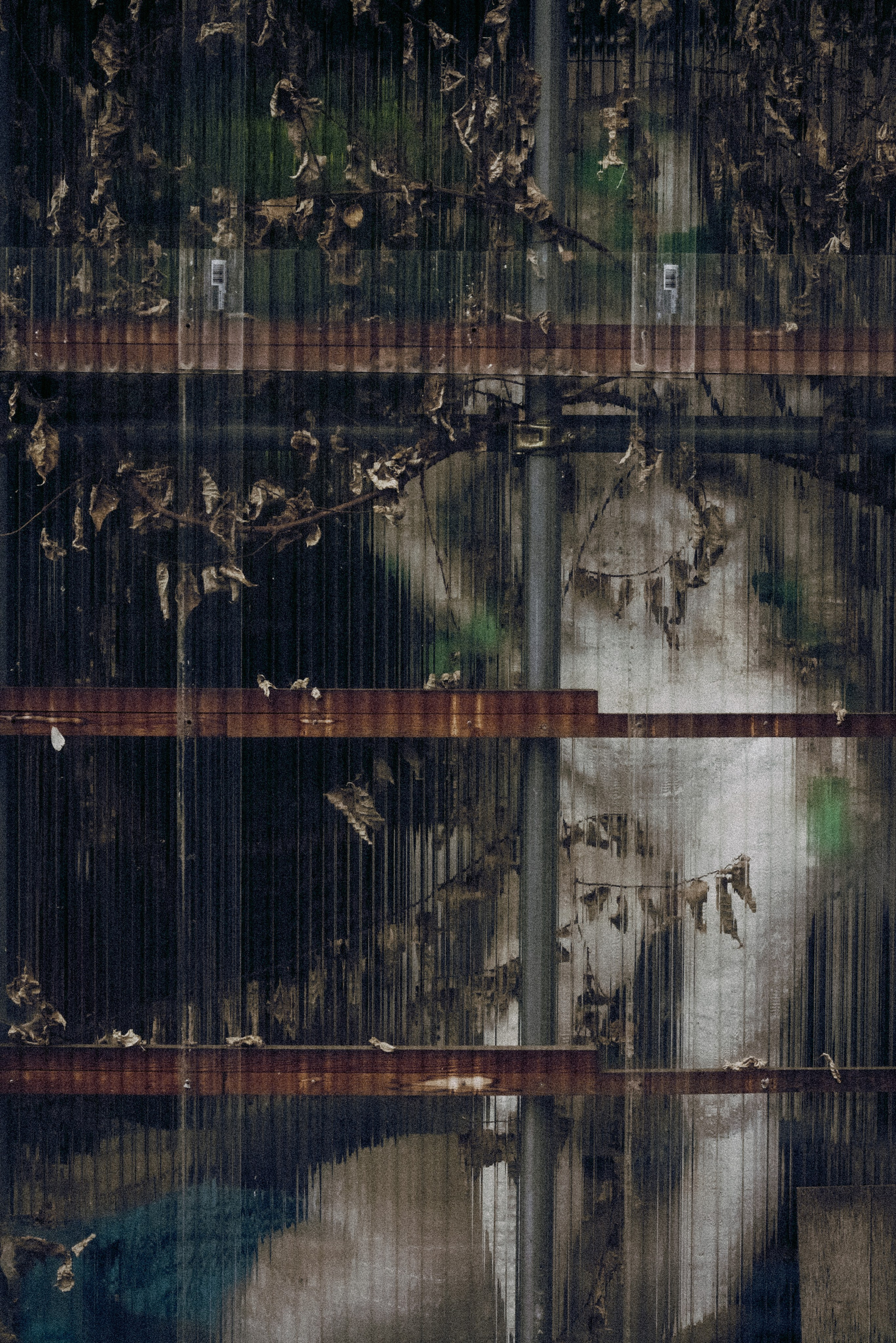 Фотограф Москва