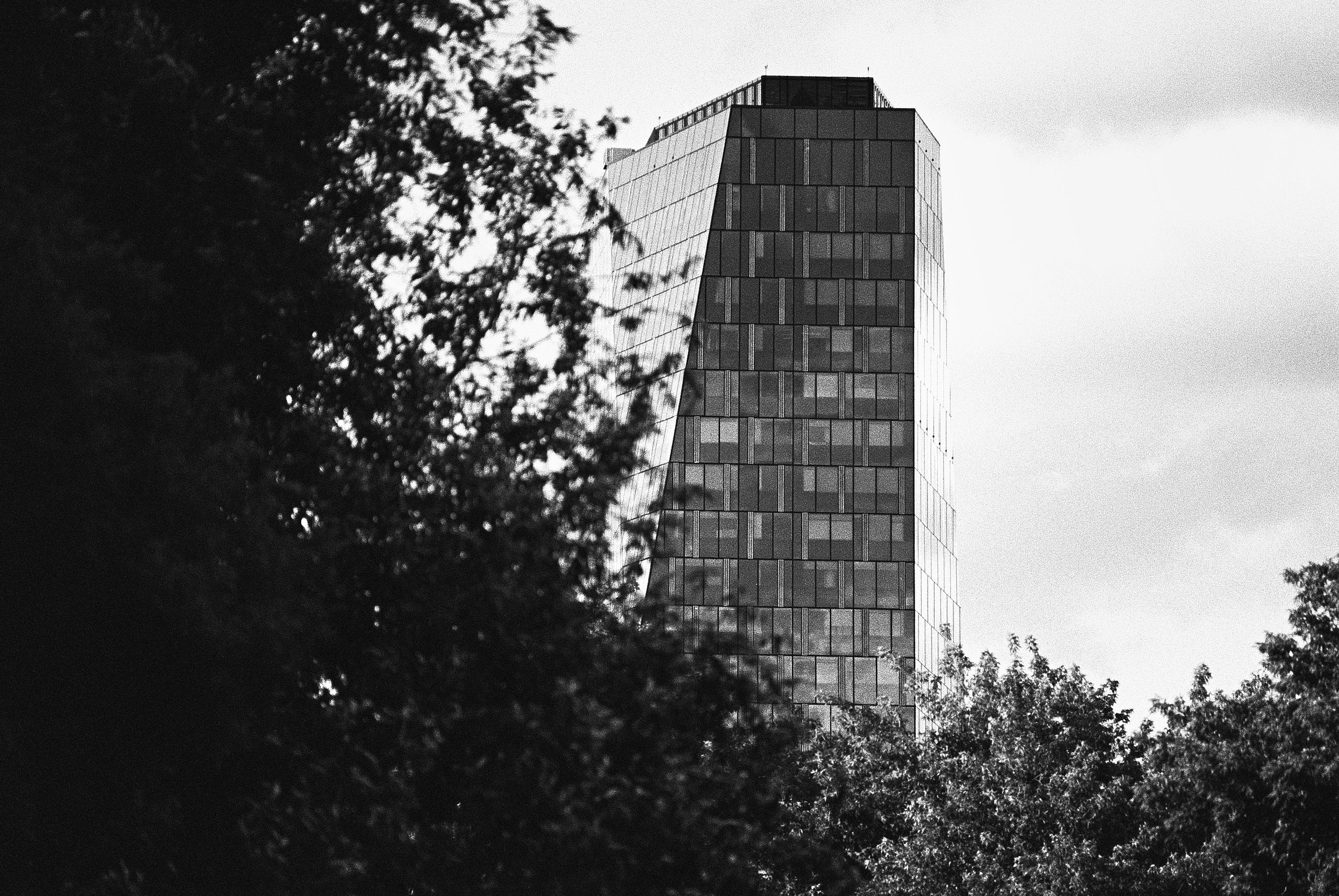 Фотосессии на пленочный фотоаппарат Nikon F6