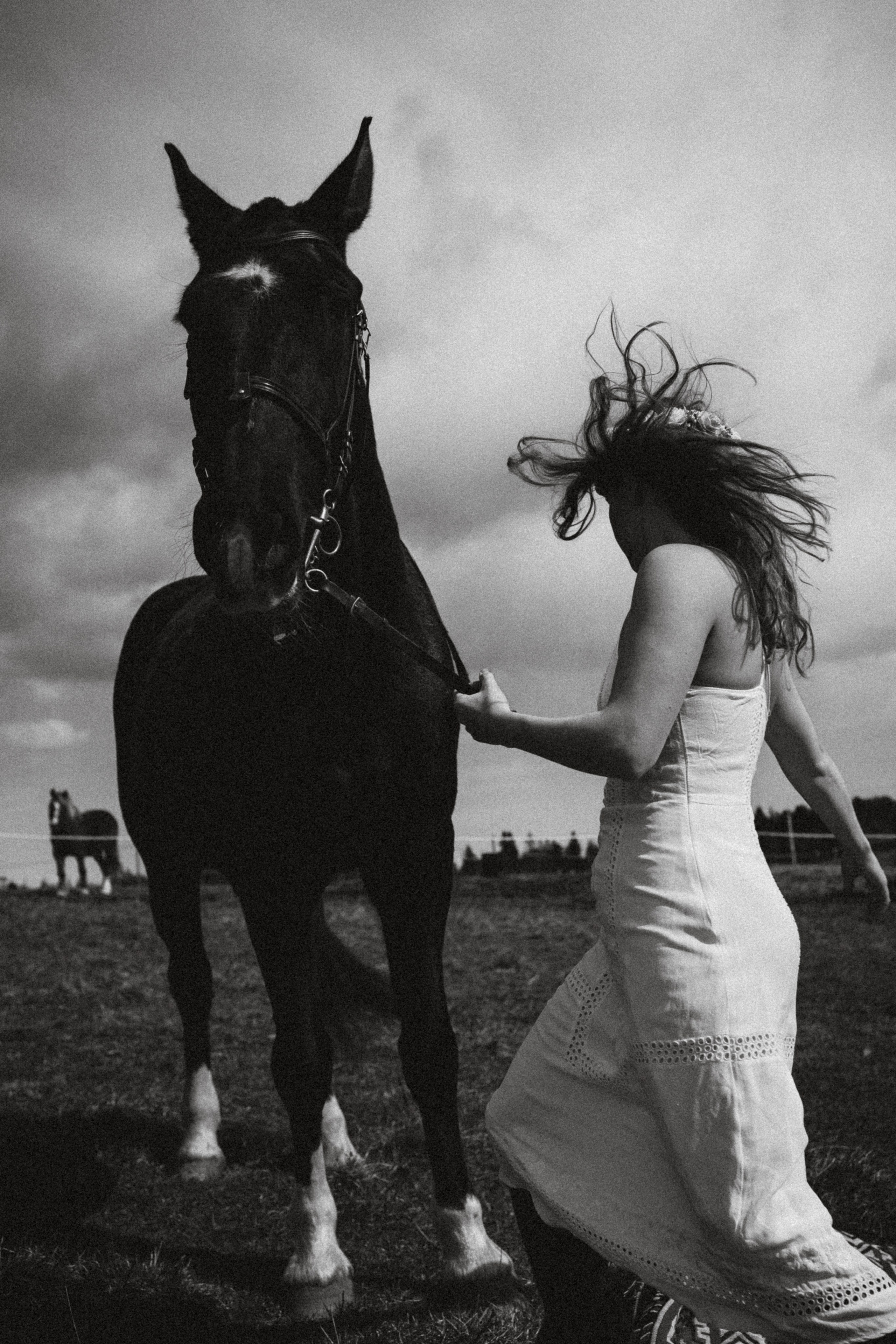 Курсы на фотографа-анималиста