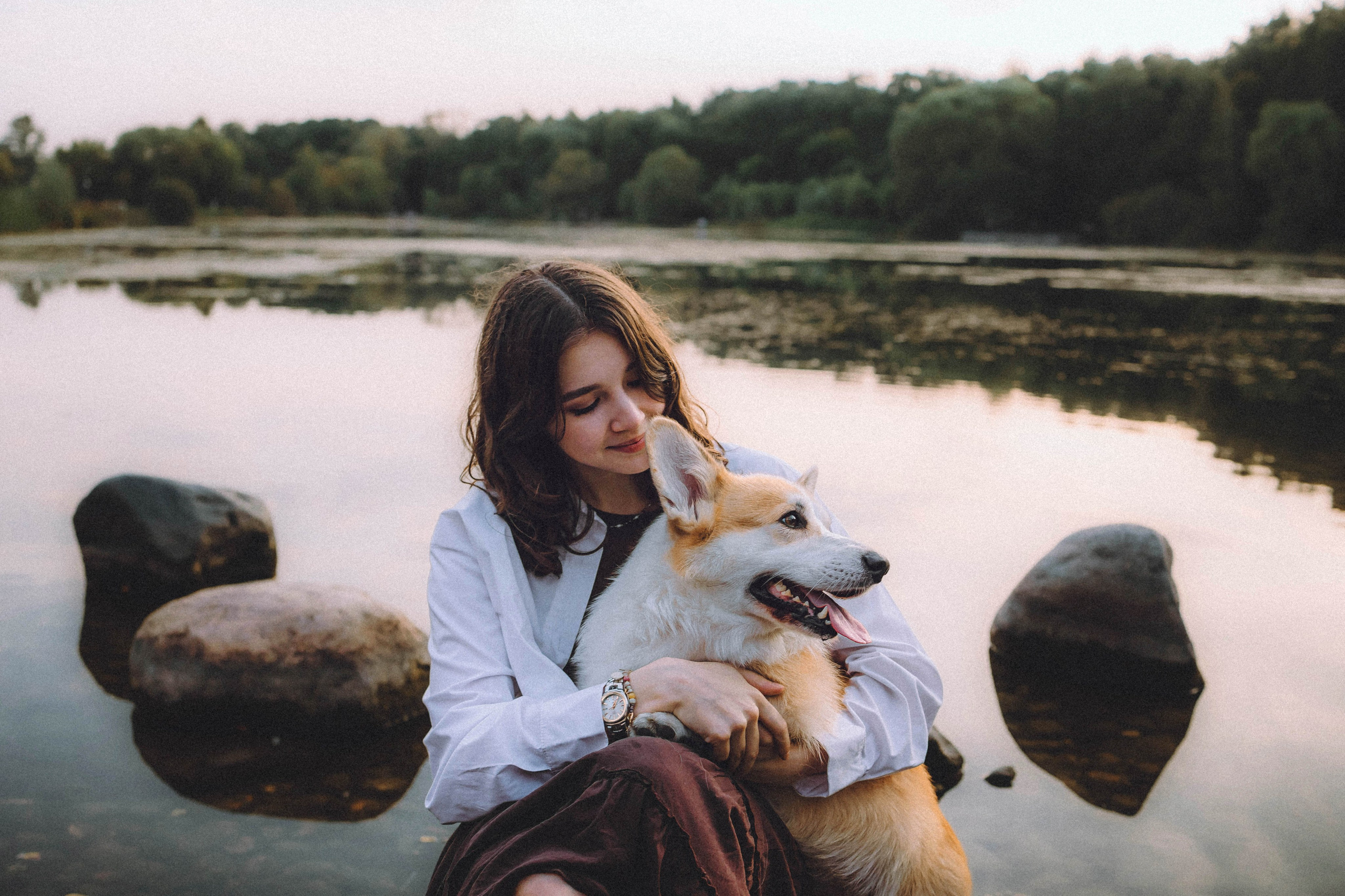 Арчи и его семья