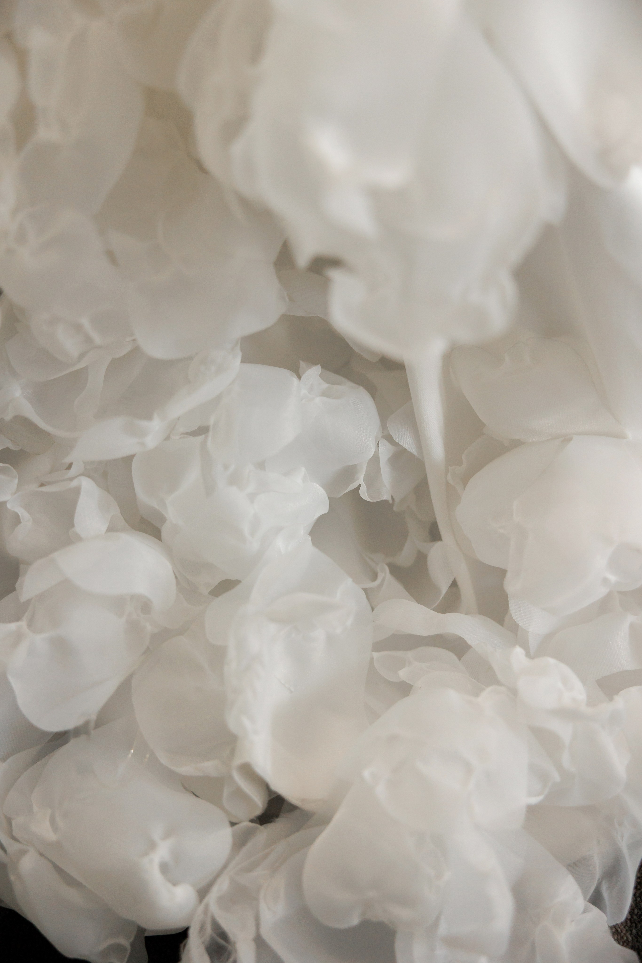 Одинаковые. Свадебный фотограф Калининград