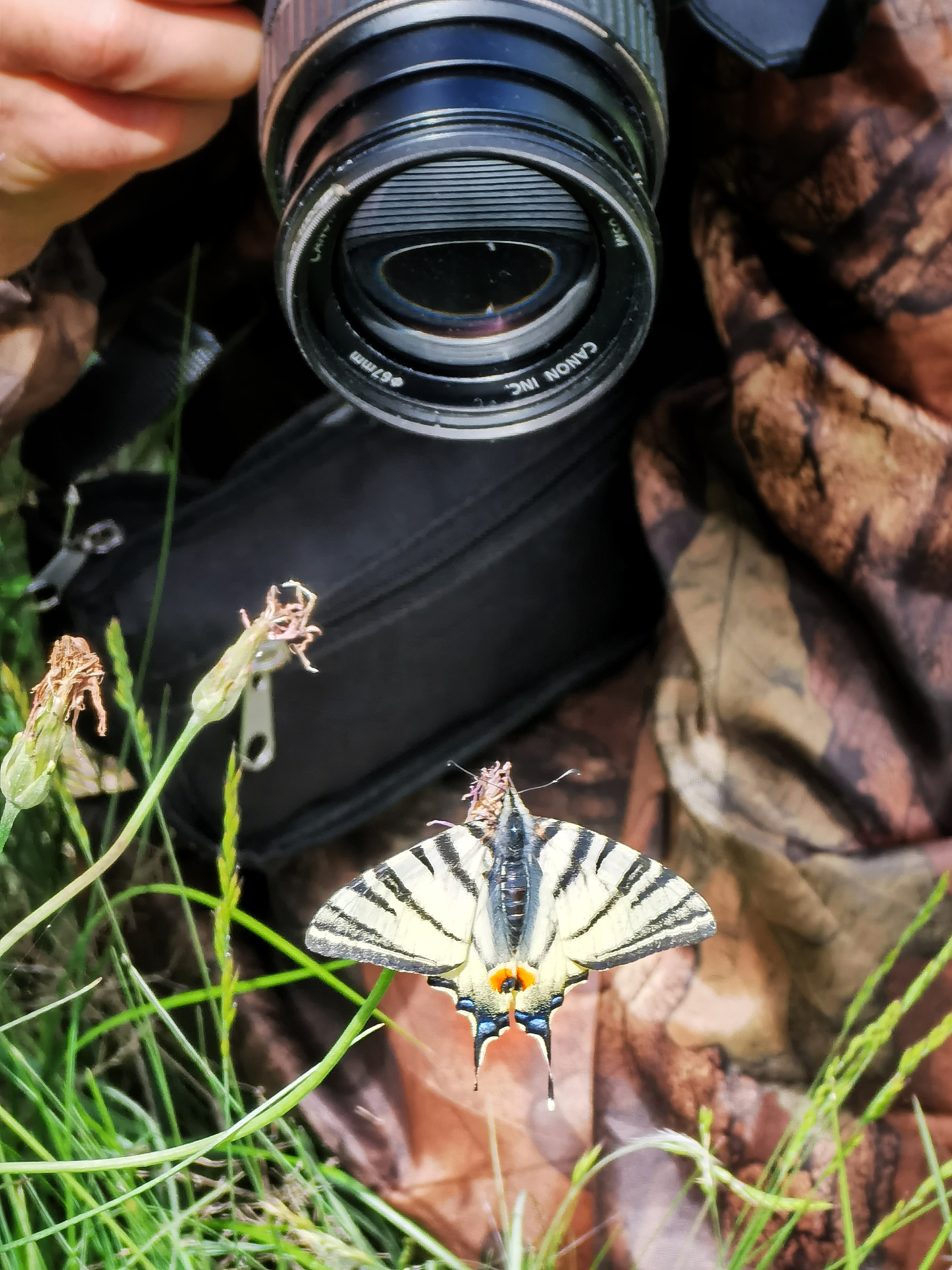Стрит и пейзажи. Главная