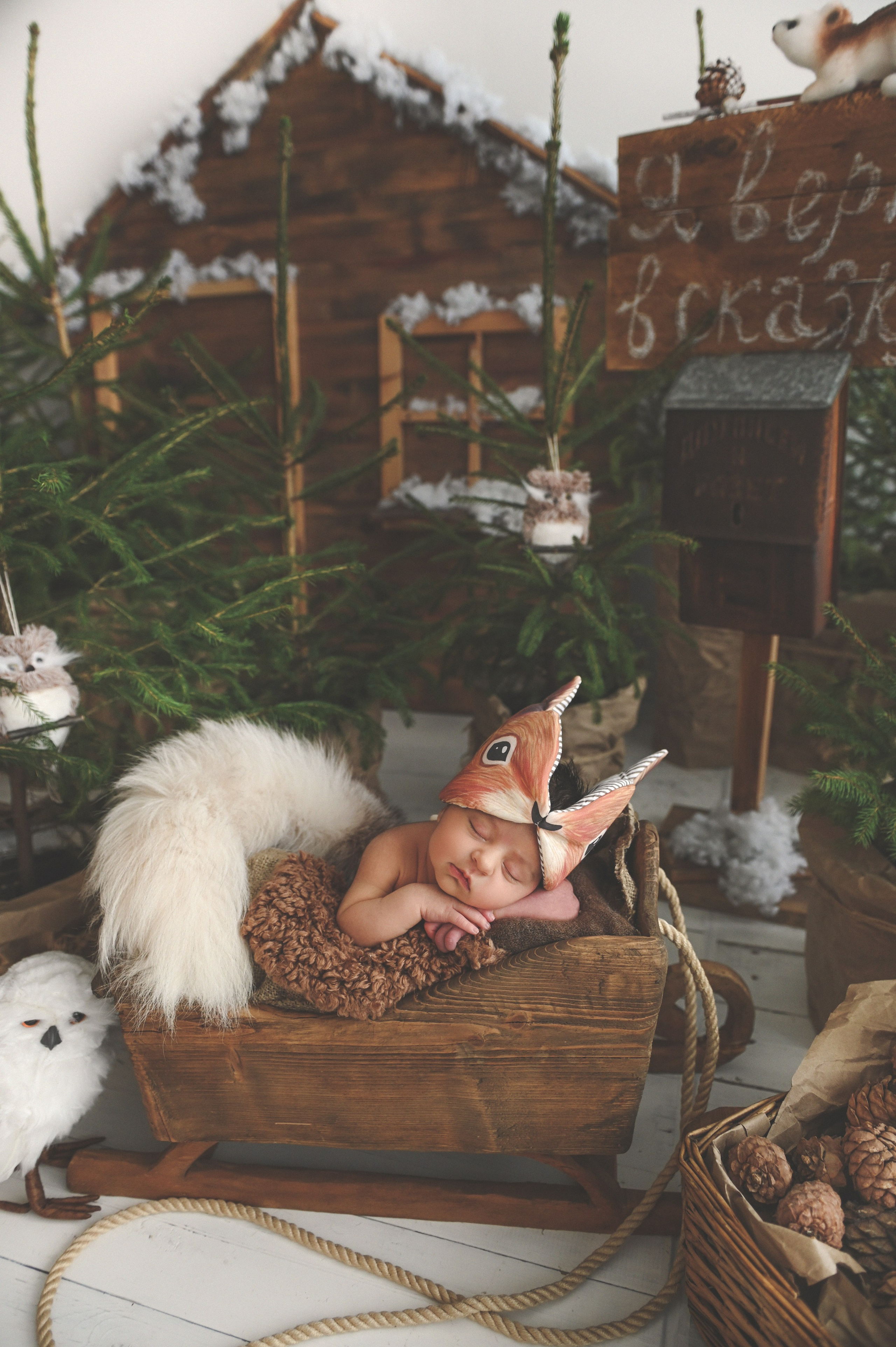 Новый год. Фотограф новорожденных и детей в Барнауле — Екатерина Шапкина