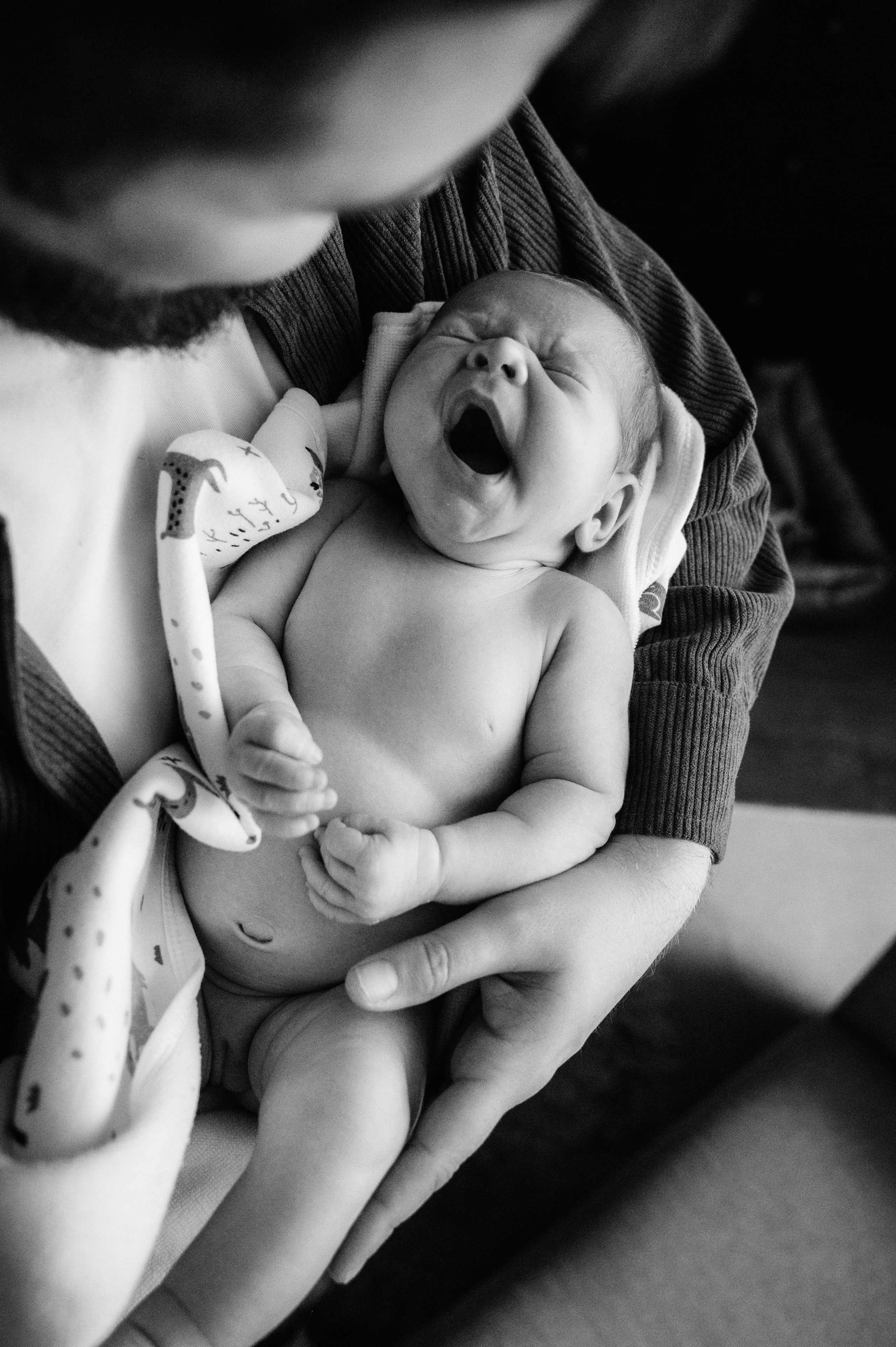 Лизавета, Никита и Мирослава. Фотограф беременности и семьи, домашние съемки, Ньюборн