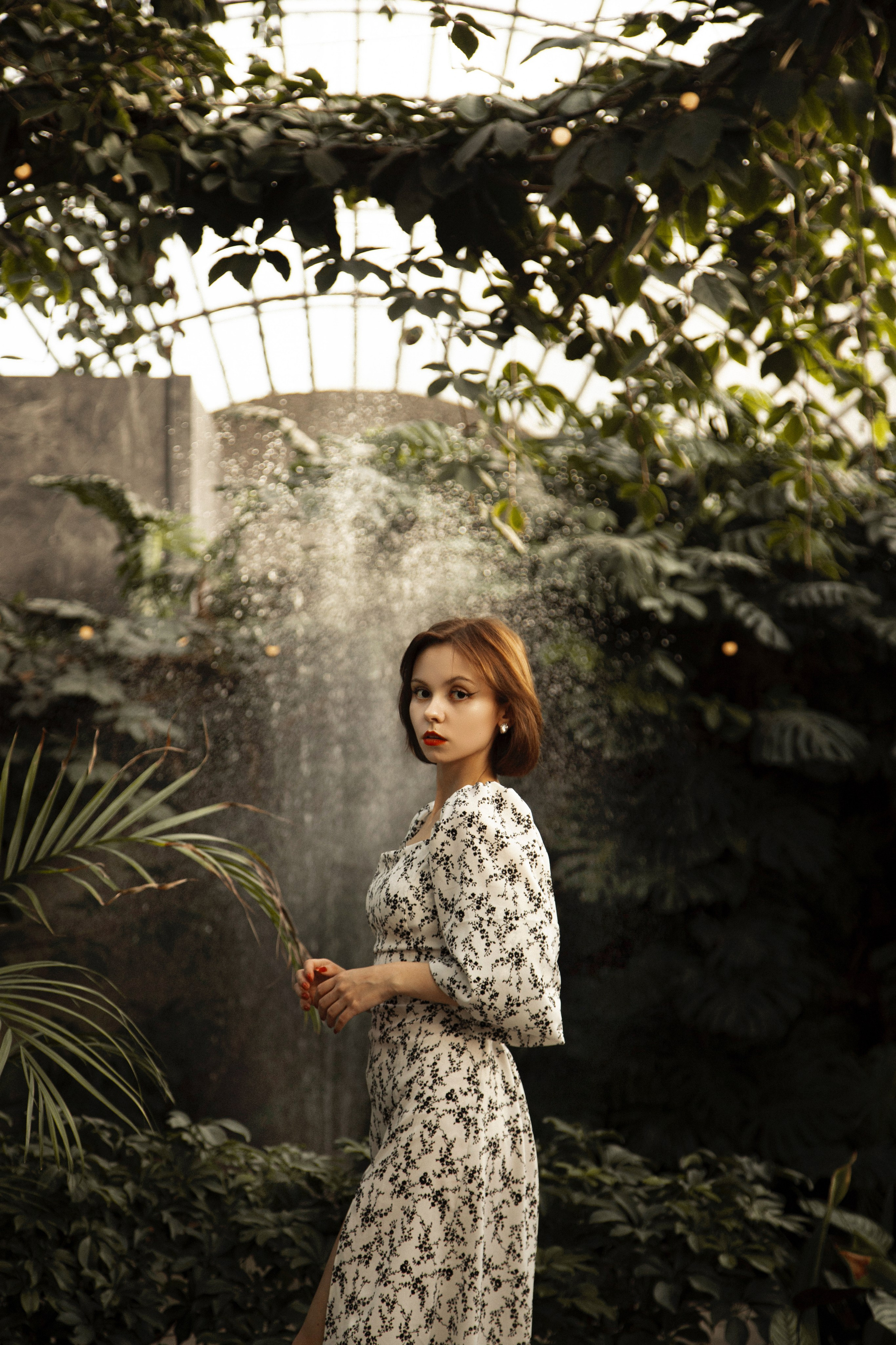 Оранжерея Таврического сада