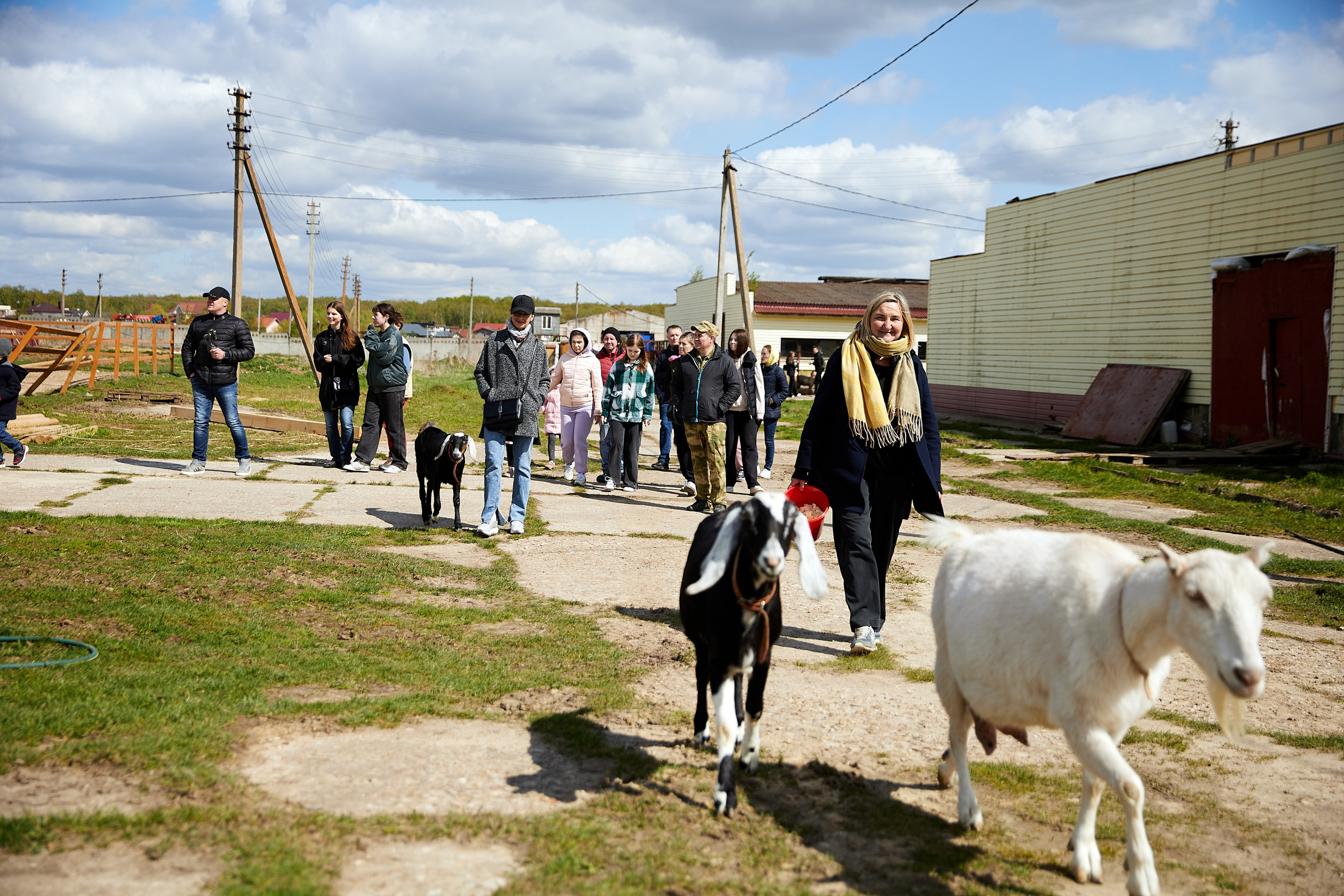 На ферме. Главная