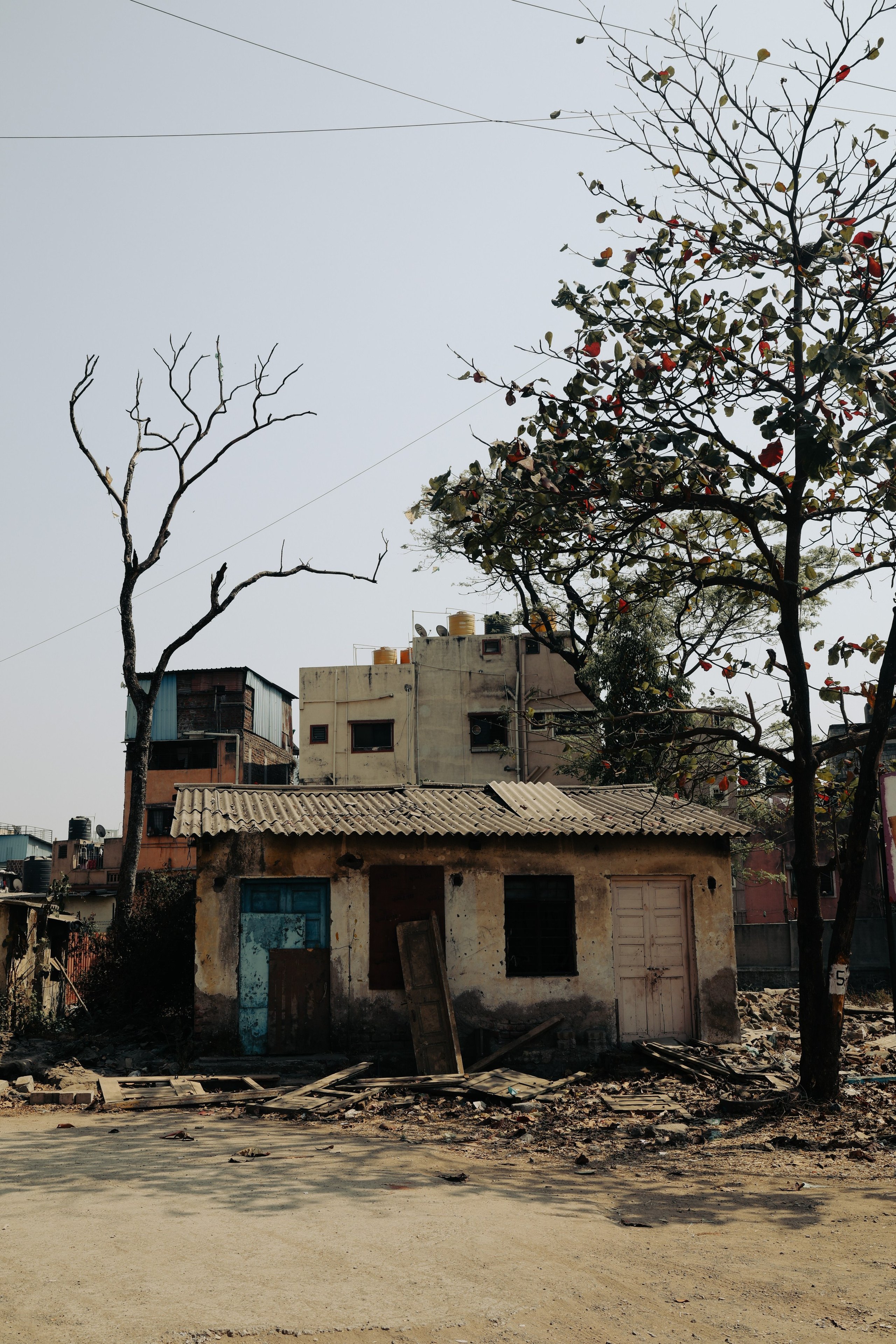 India. Фотограф в Москве