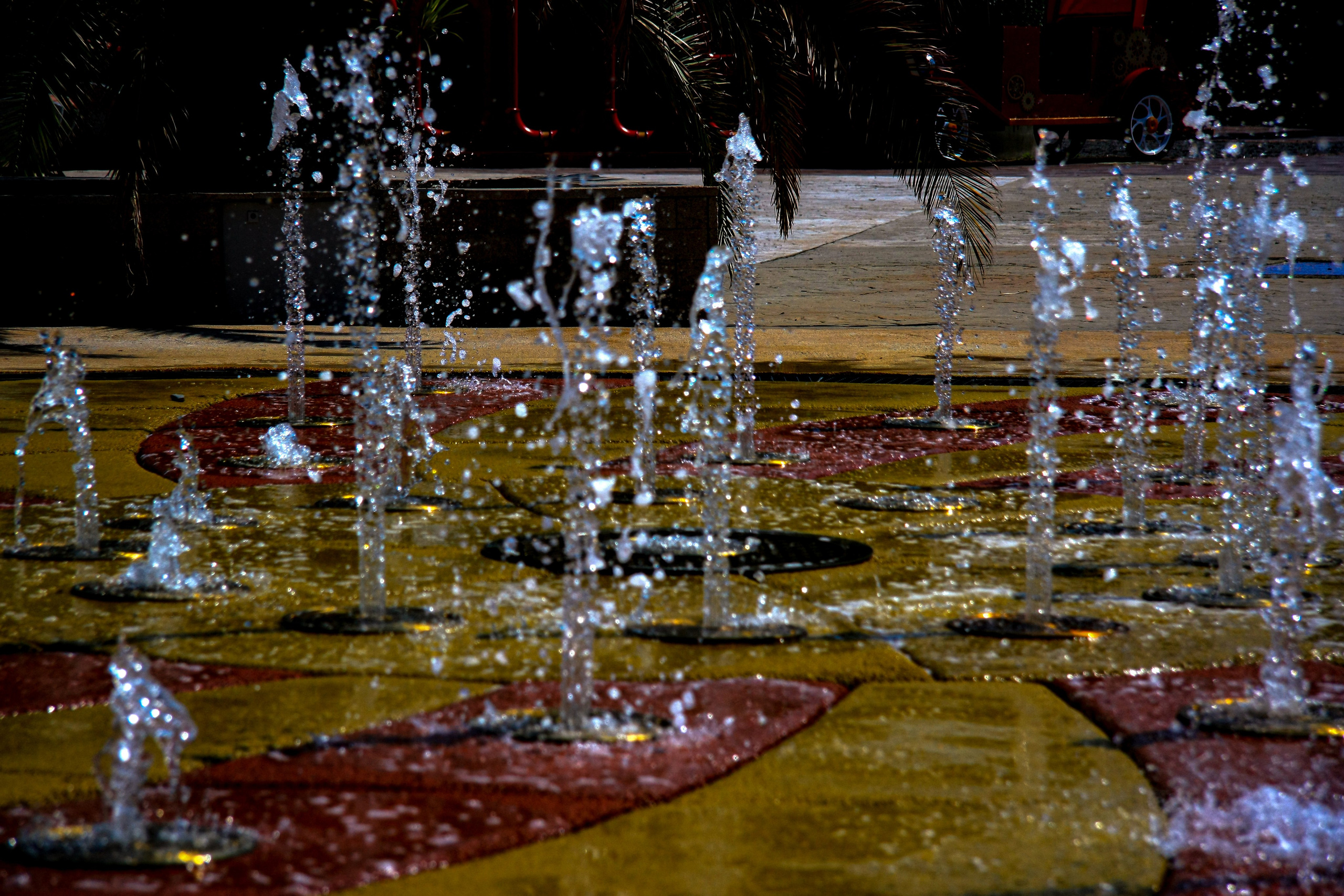 Первые кадры. Сочи — парк. Фотограф Роман Адлер