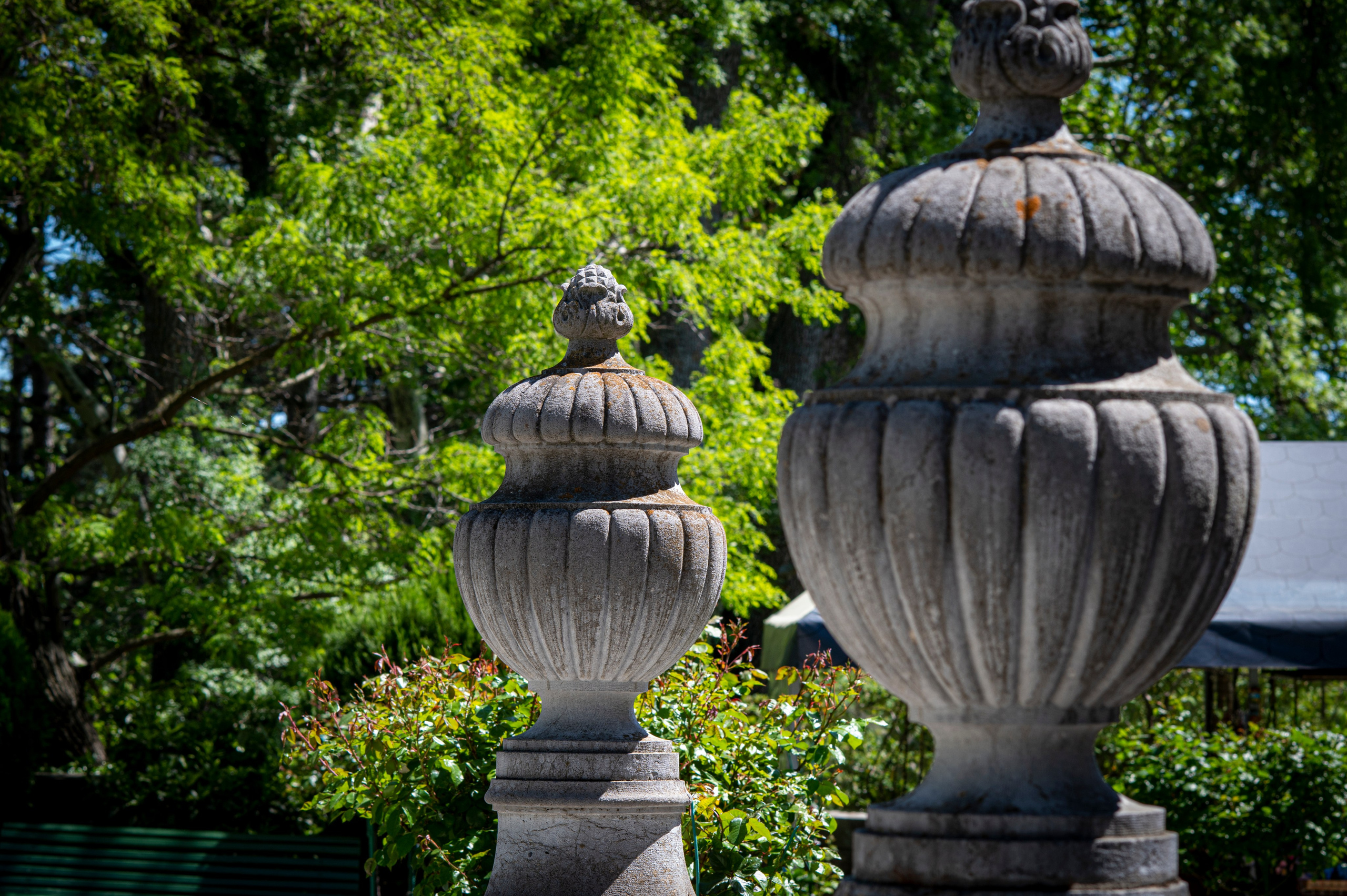 Крым май 2022. Фотограф Роман Адлер