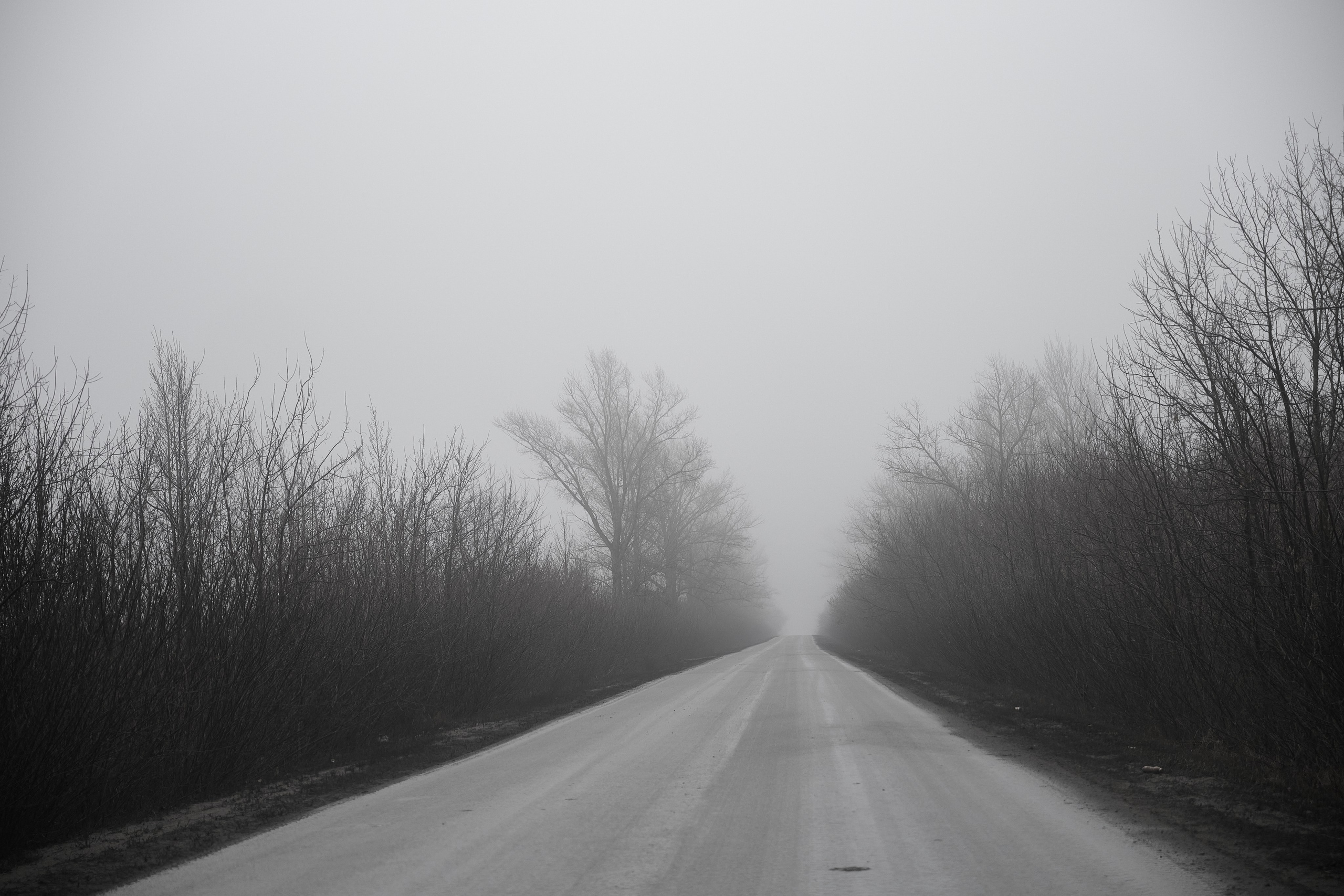 Дорога домой. Туман. Фотограф Роман Адлер