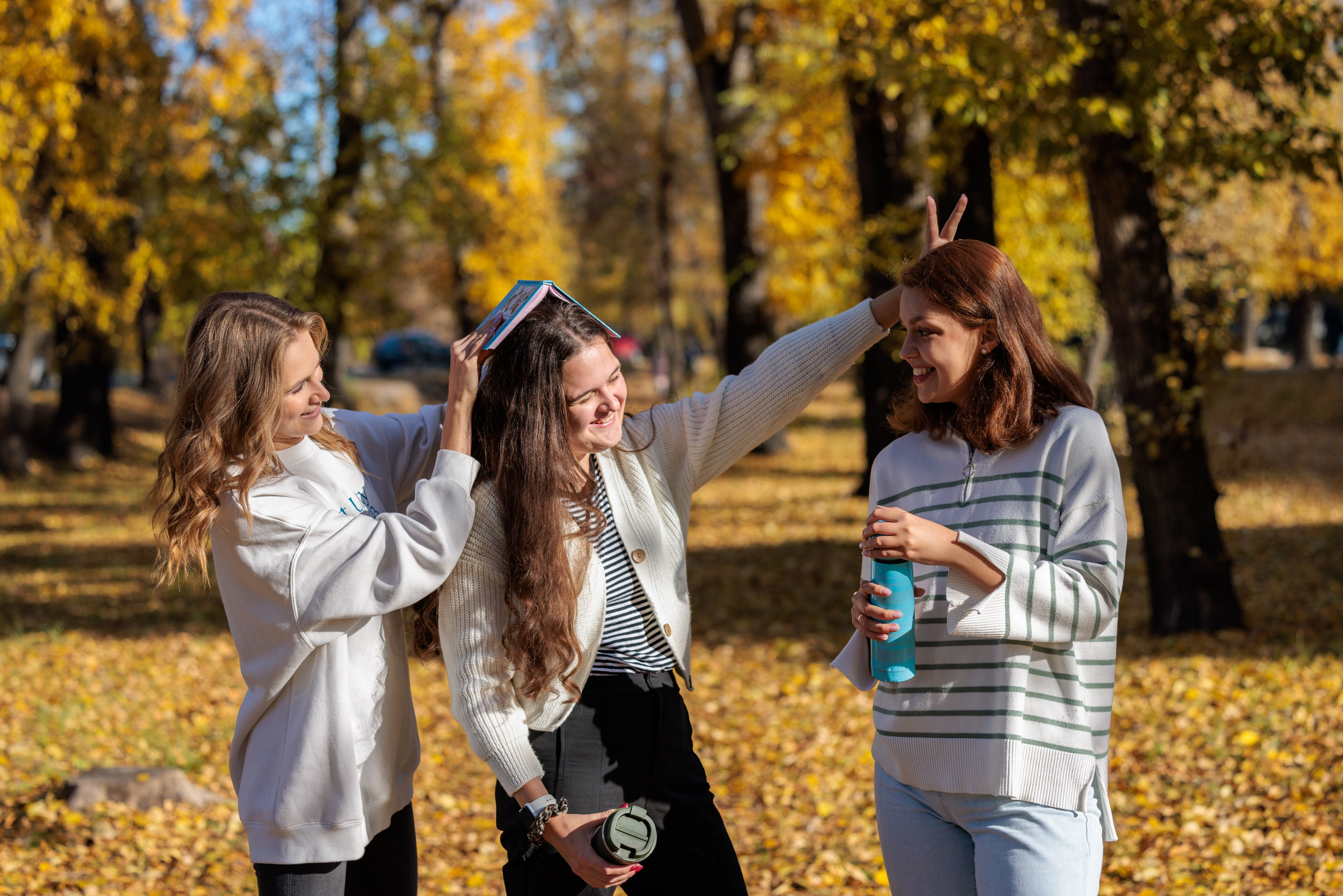 Осень в Абакане. Ваши Истории. Фотограф/видеограф. Абакан