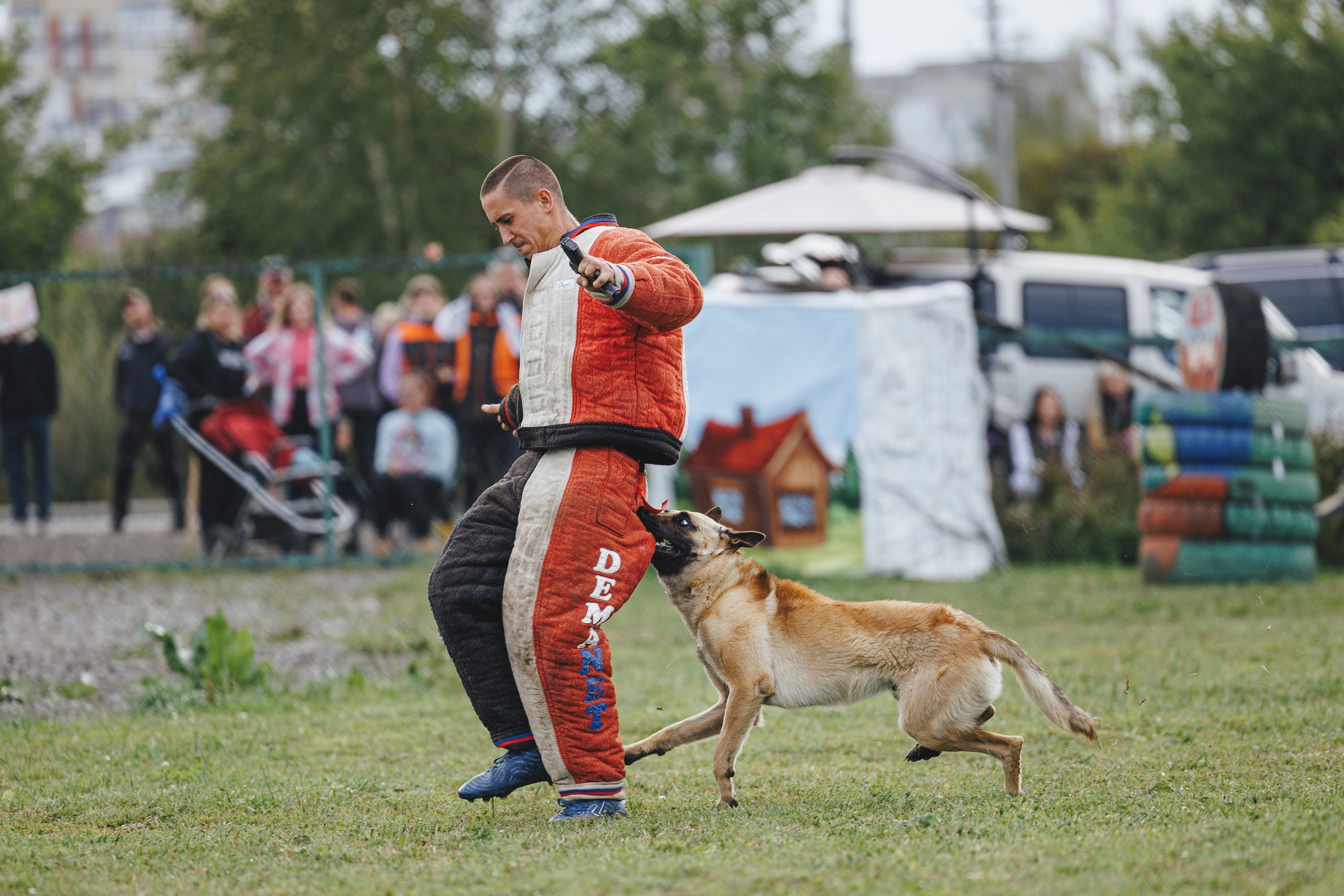 08.08.25-10.08.25 ЧР по мондьорингу г. Вологда. Фотограф-анималист Анна Маринич