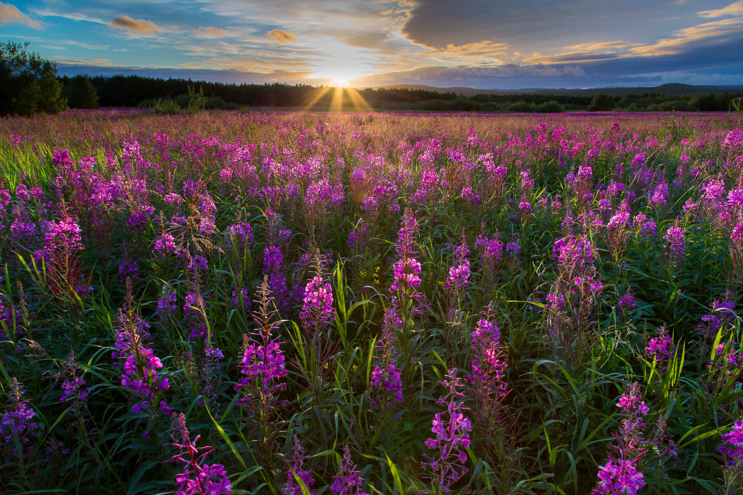 Солнечные ночи Крайнего Севера. Пейзажи Крайнего Севера. Баренцево море, Рыбачий, Средний, Немецкий