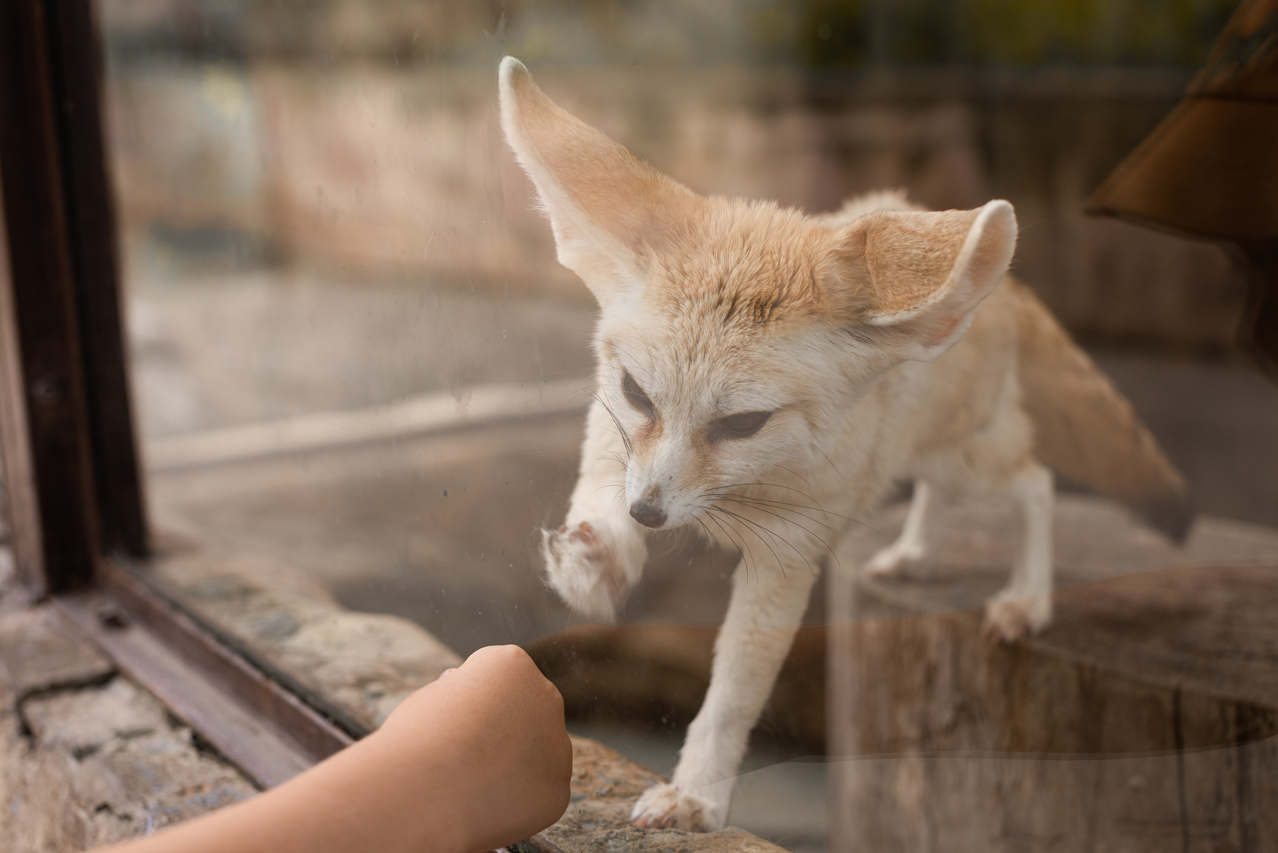 Июнь–Июль Отпуск Белореченск, Геленджик. Семейный, Свадебный фотограф СПБ Питер— Романова Екатерина