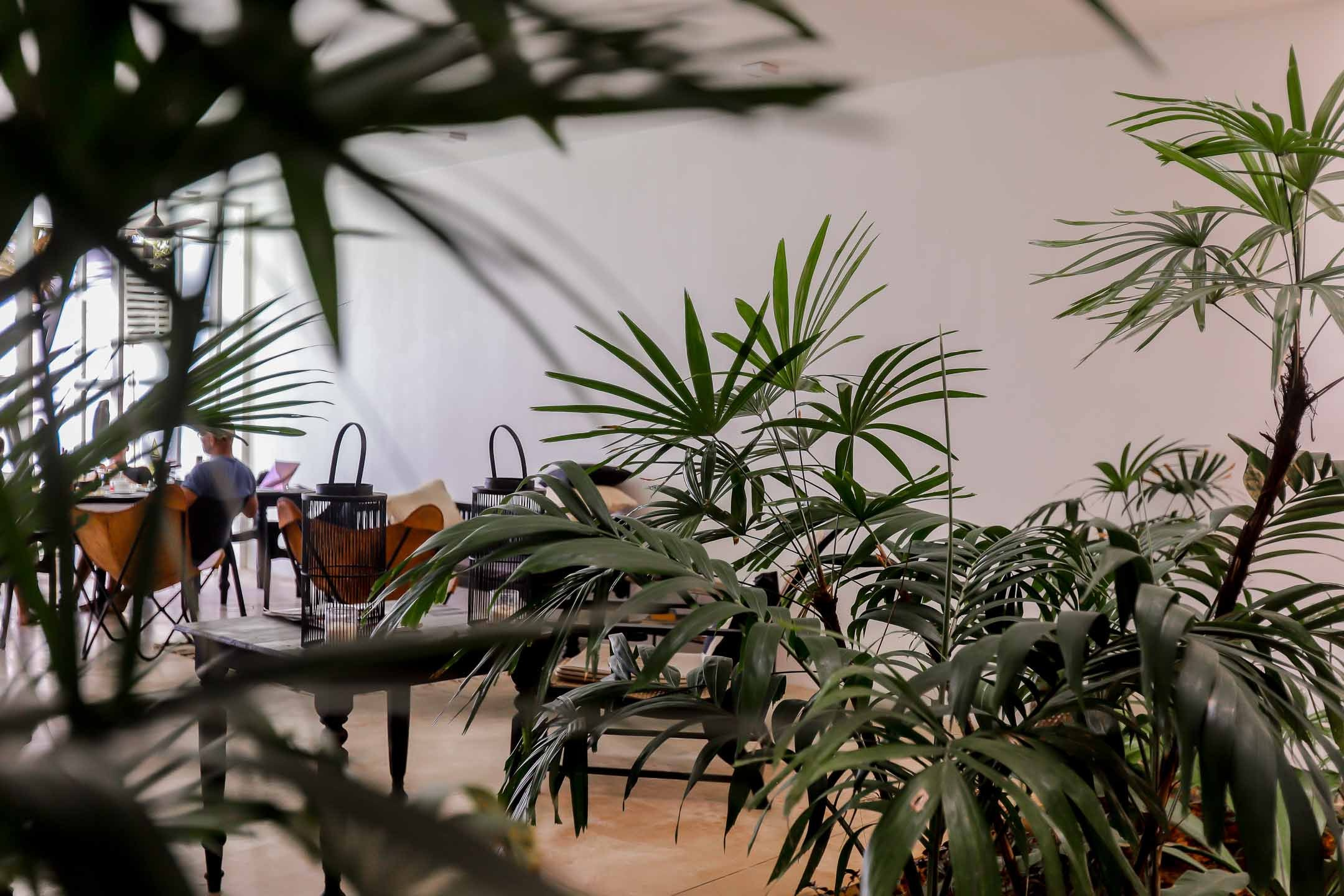 Отель пляж Хабарадува. Фотограф на Шри-Ланке