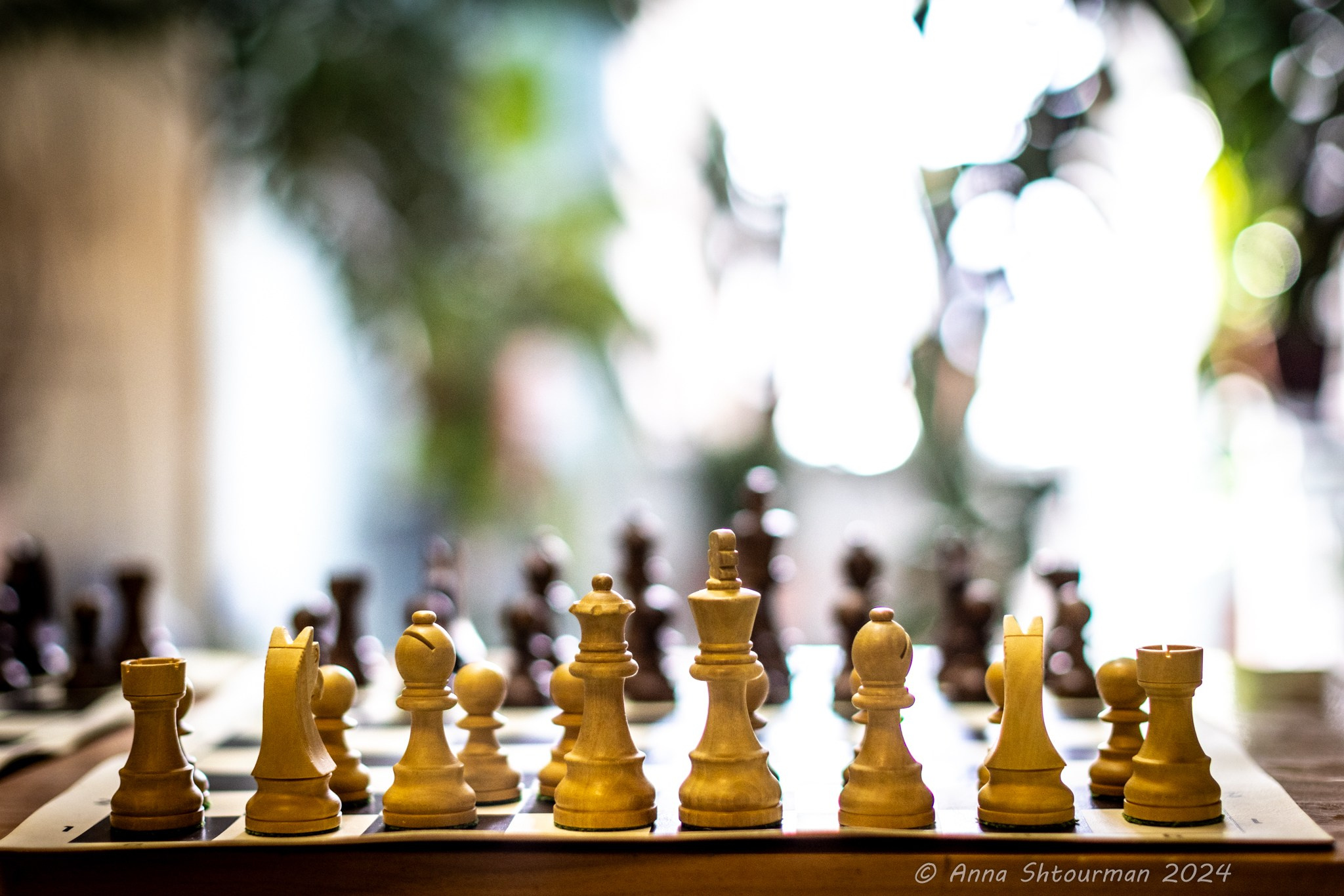 2024 Кубок Костромы по быстрым шахматам на призы ООО «СПЕЦСТАНОК». Фотограф Анна Штурман (репортажная съёмка любых событий и мероприятий) Anna Shtourman photographer