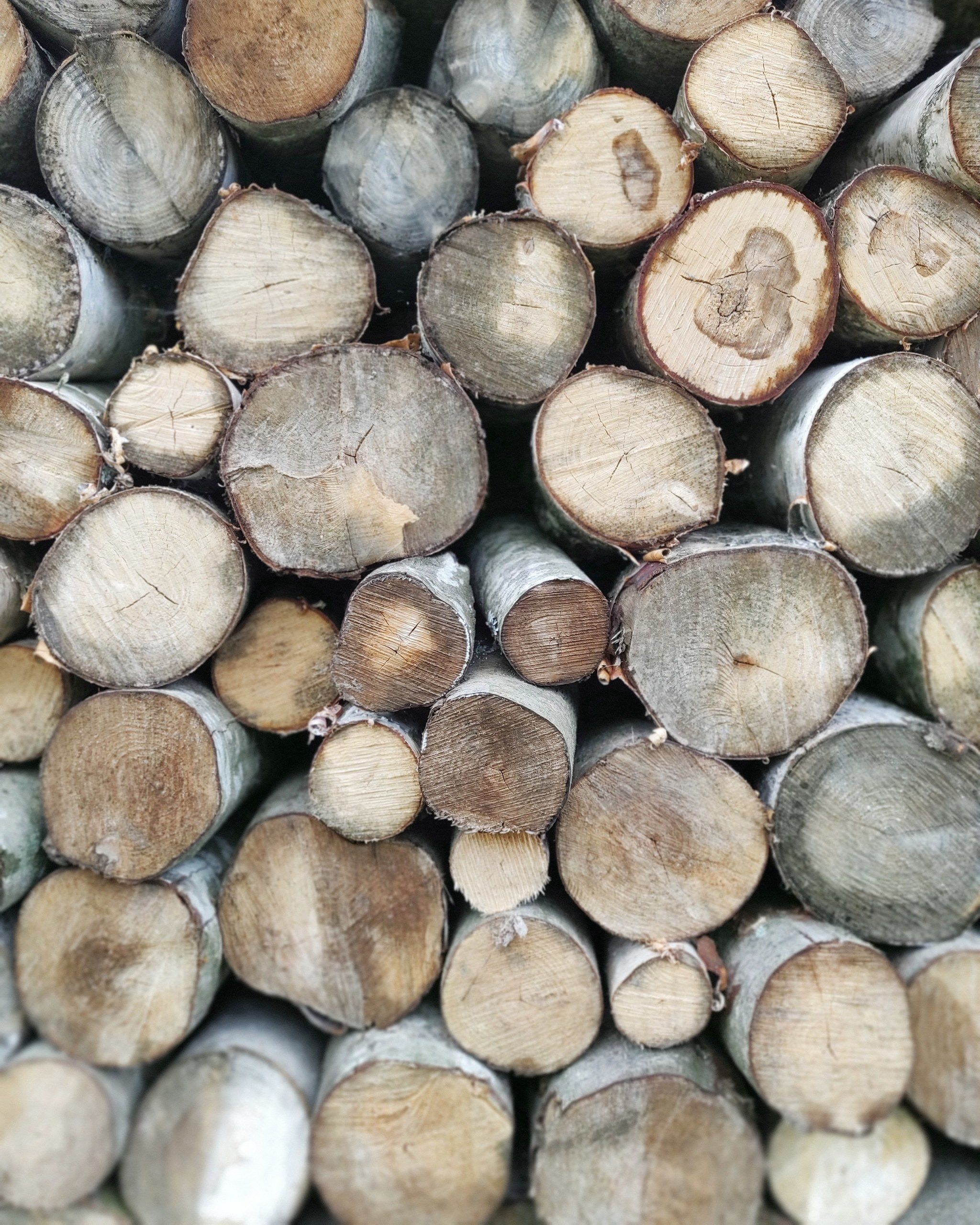 Природные палитры. Наталья Мавренкова интерьерный фотограф, декоратор в Санкт-Петербурге