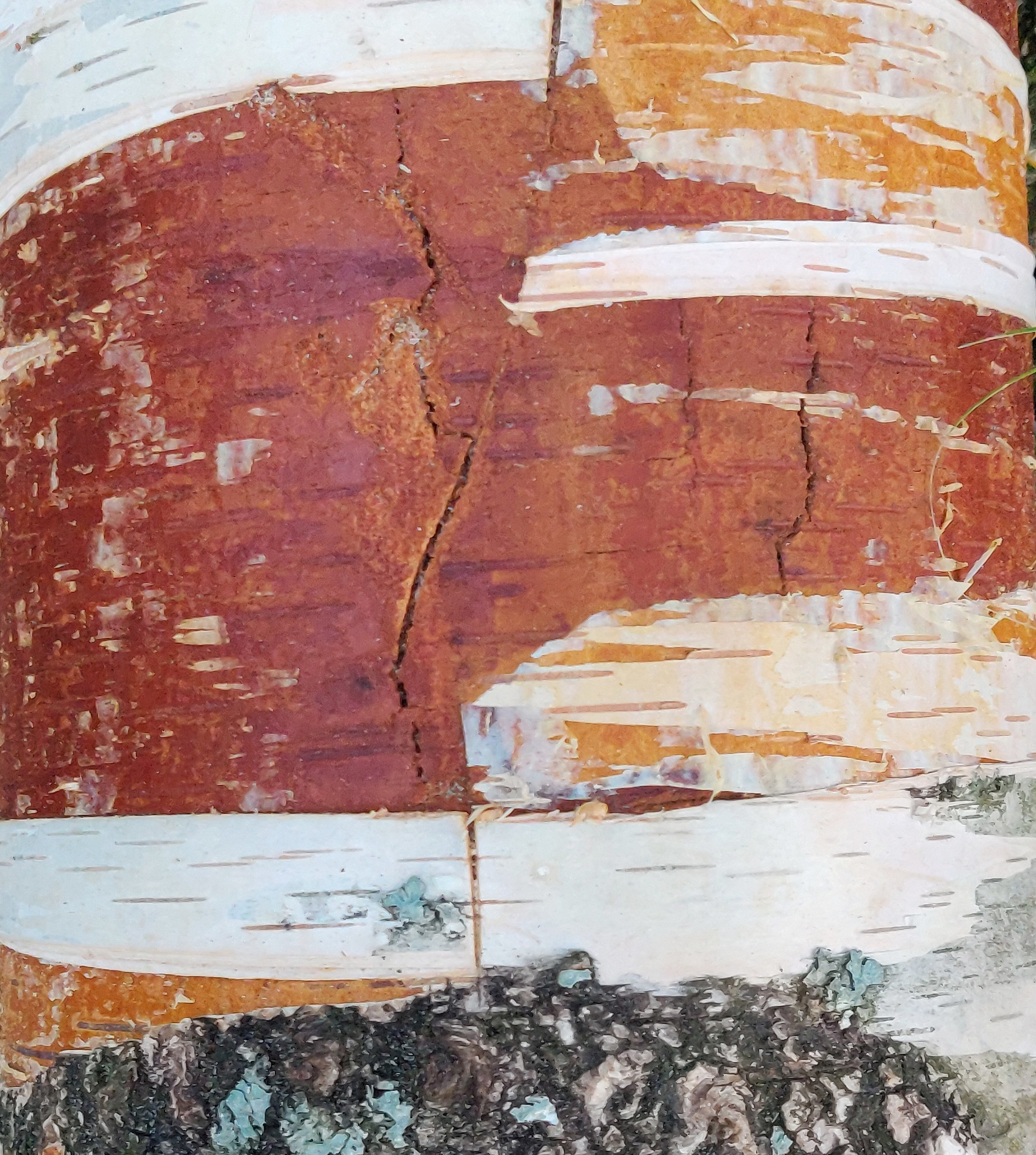 Природные палитры. Наталья Мавренкова интерьерный фотограф, декоратор в Санкт-Петербурге