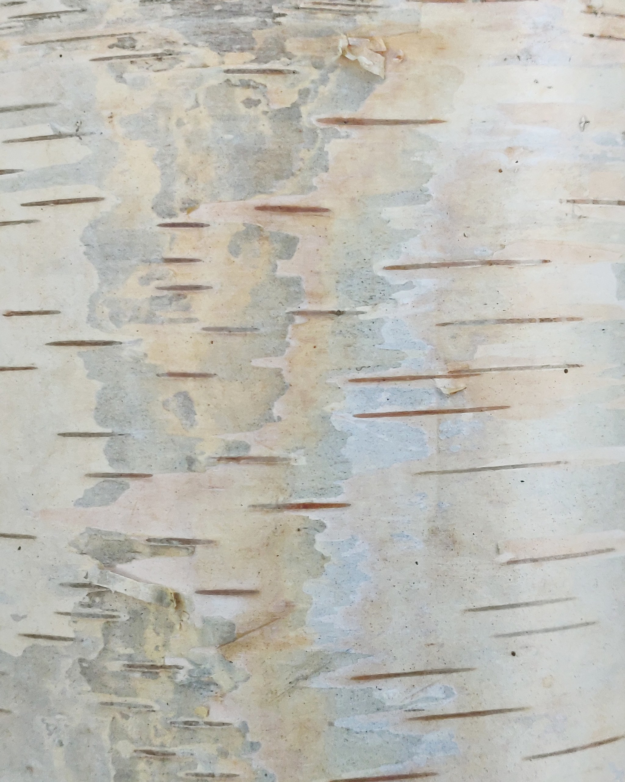 Природные палитры. Наталья Мавренкова интерьерный фотограф, декоратор в Санкт-Петербурге