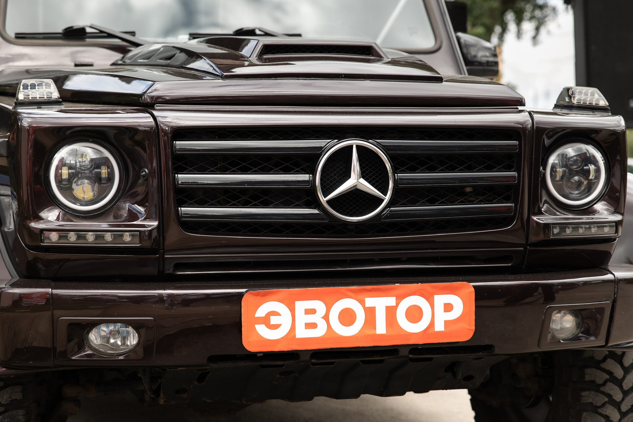 Эвотор тимбилдинг. Свадебный репортажный фотограф в Москве