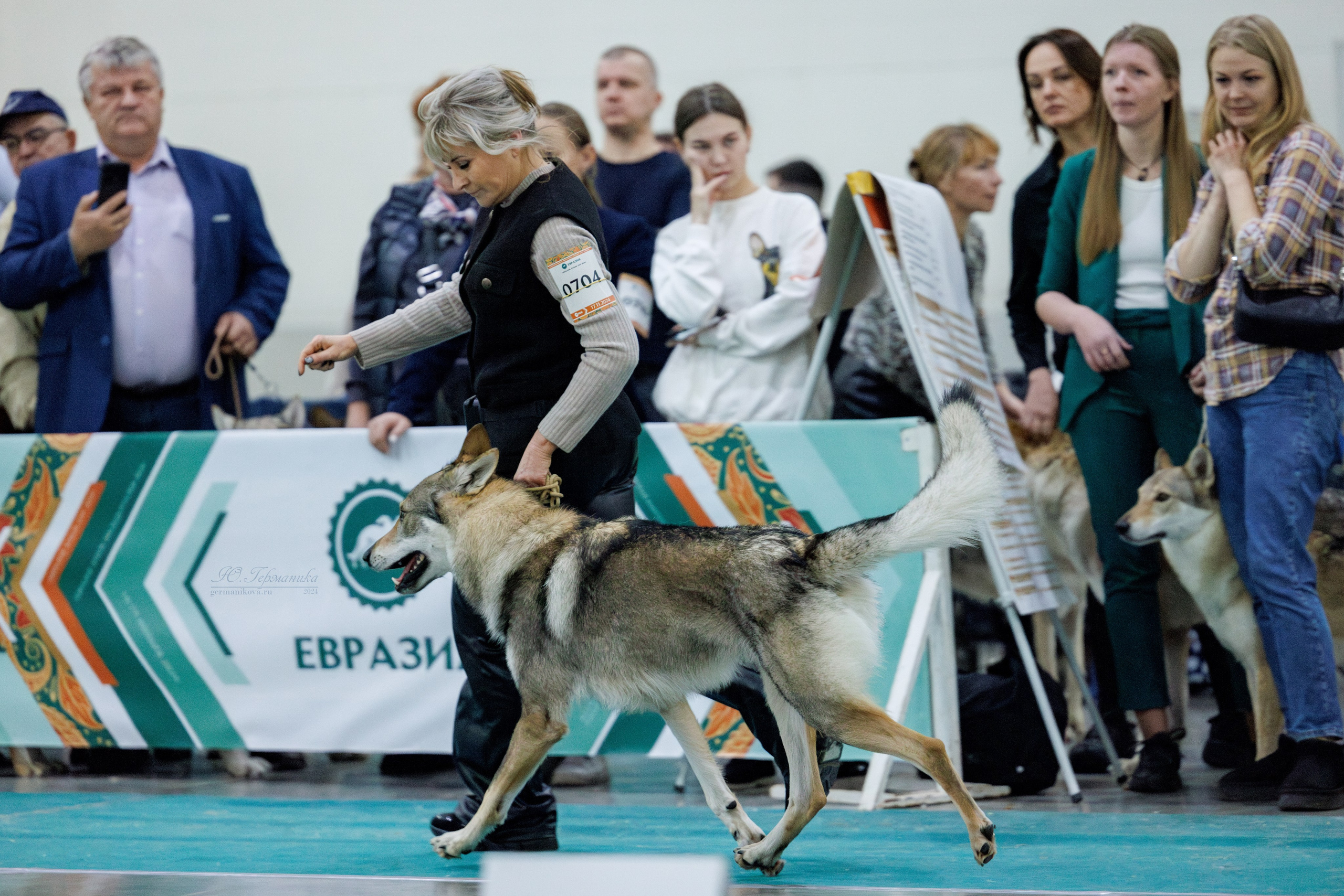 Евразия 16-17.11.2024. Фотограф-анималист Юлия Германика