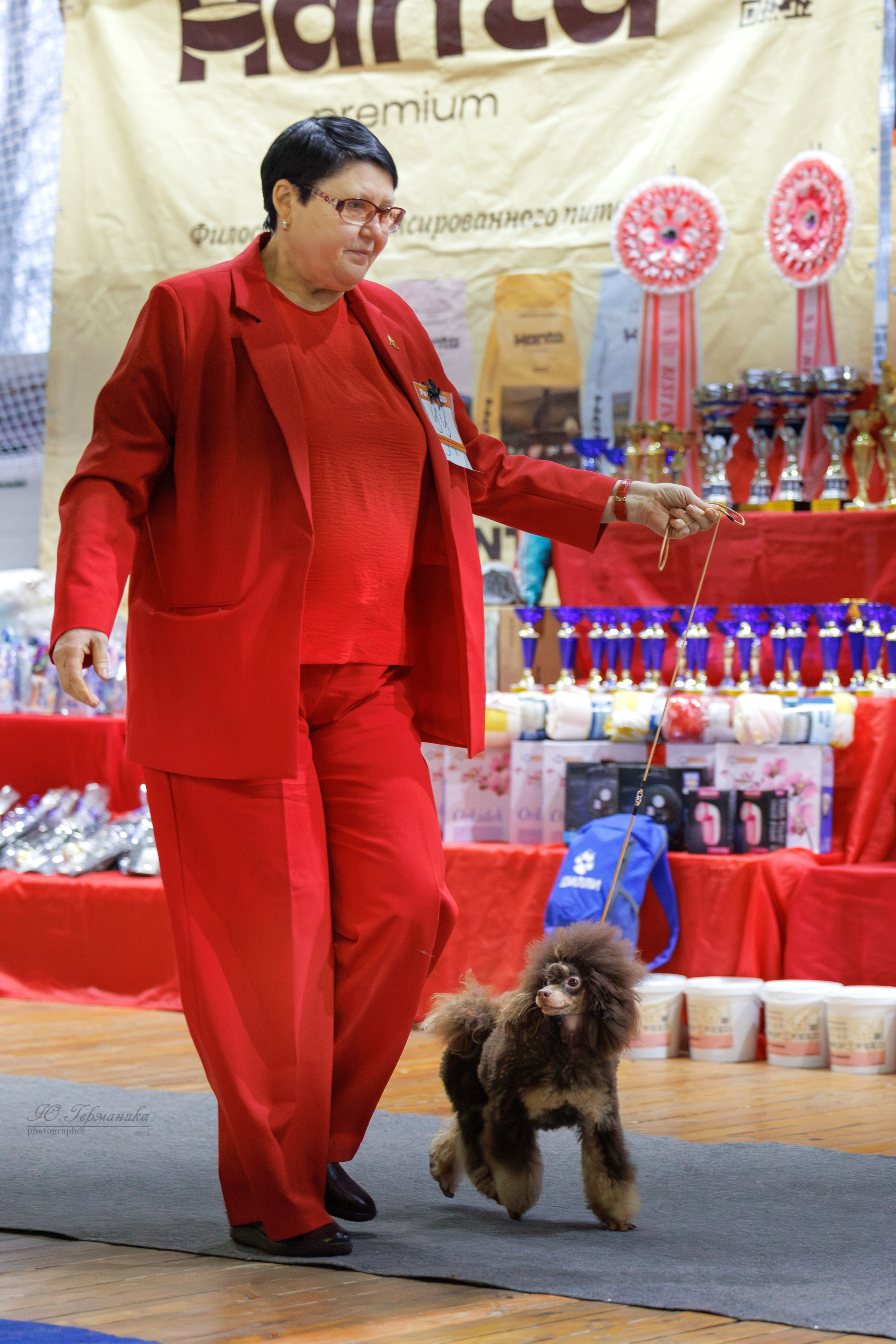 Тверь 21.12.2025. Фотограф-анималист Юлия Германика