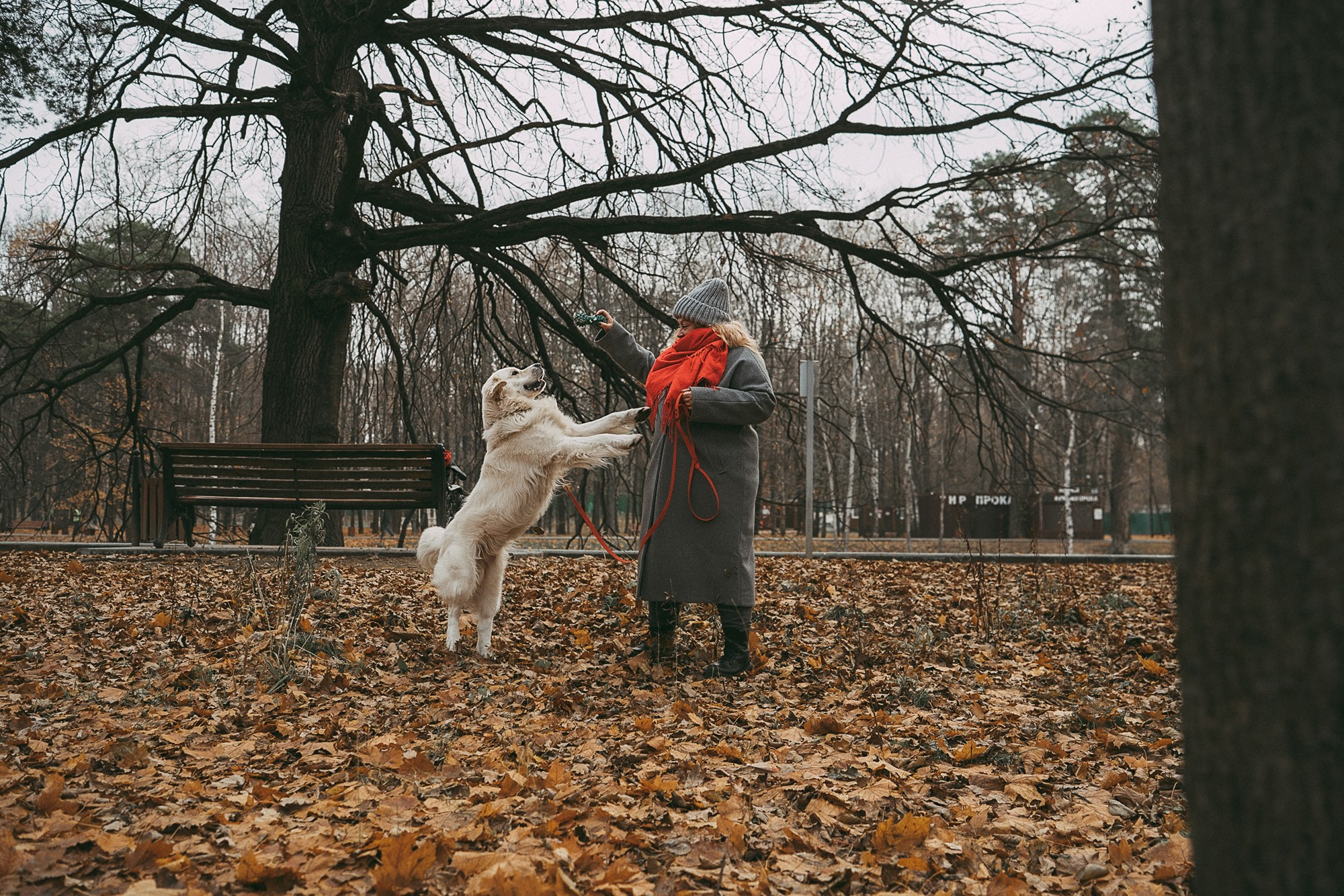 Лена и Мерлин. Фотограф анималист в Москве и Санкт-Петербурге Свиридова Анна