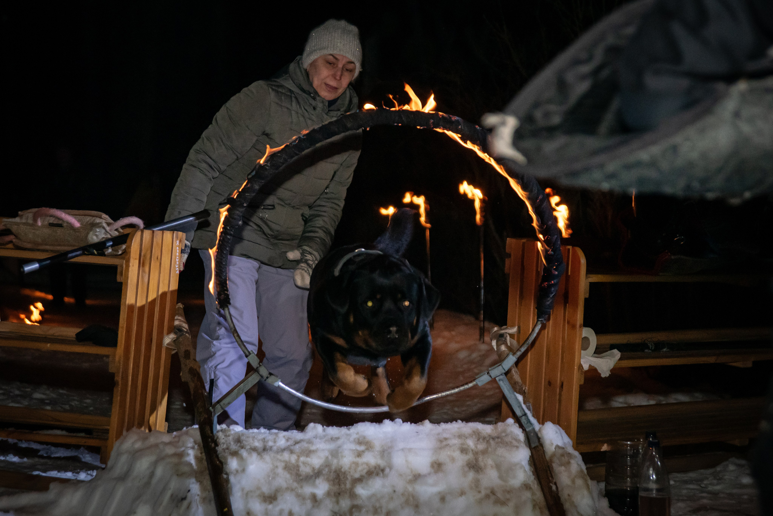 Фотосъёмка с собаками в Кинологическом лагере. Фотограф Макс Огурцов в Нижнем Новгороде