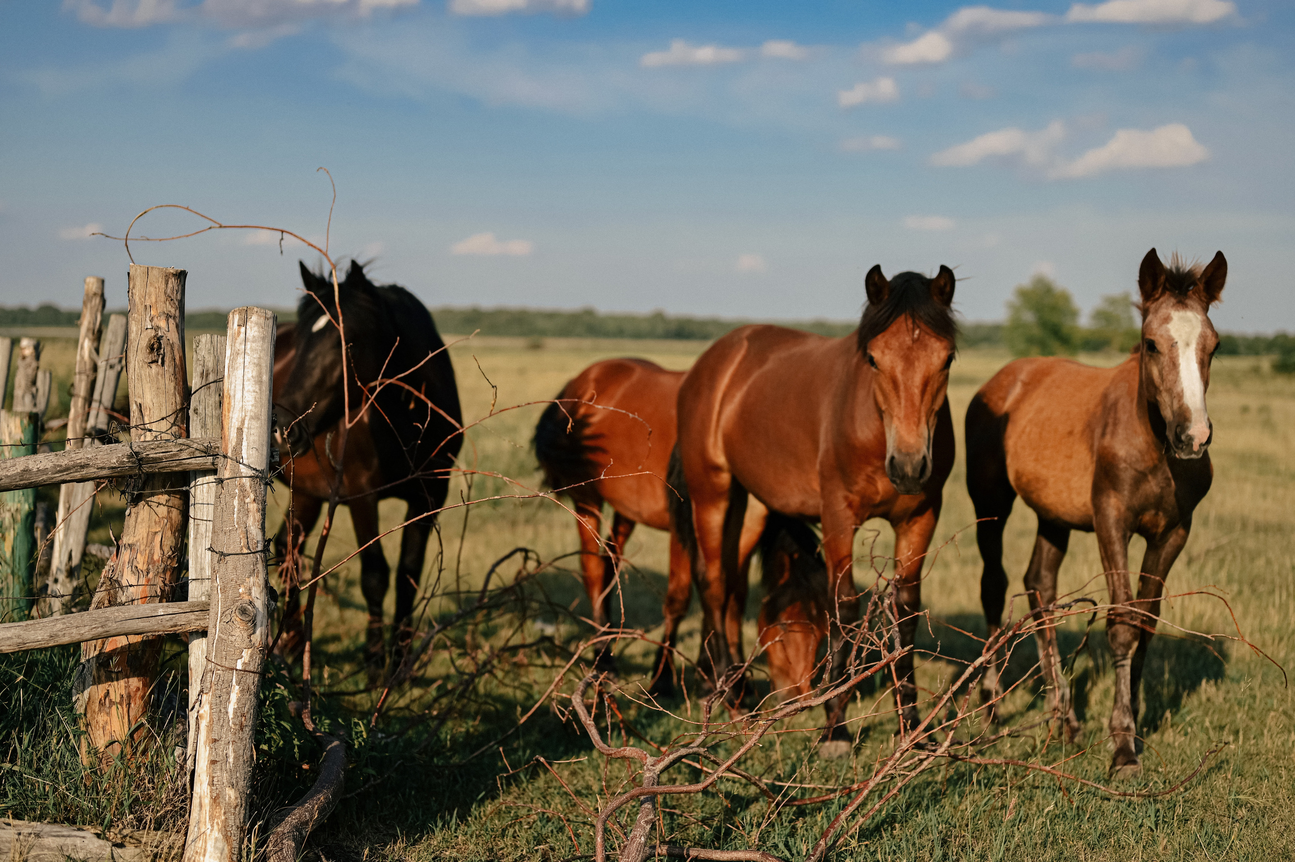 День рождения в путешествии. Семейный свадебный фотограф Екатеринбург Первоуральск Шарнина Алёна