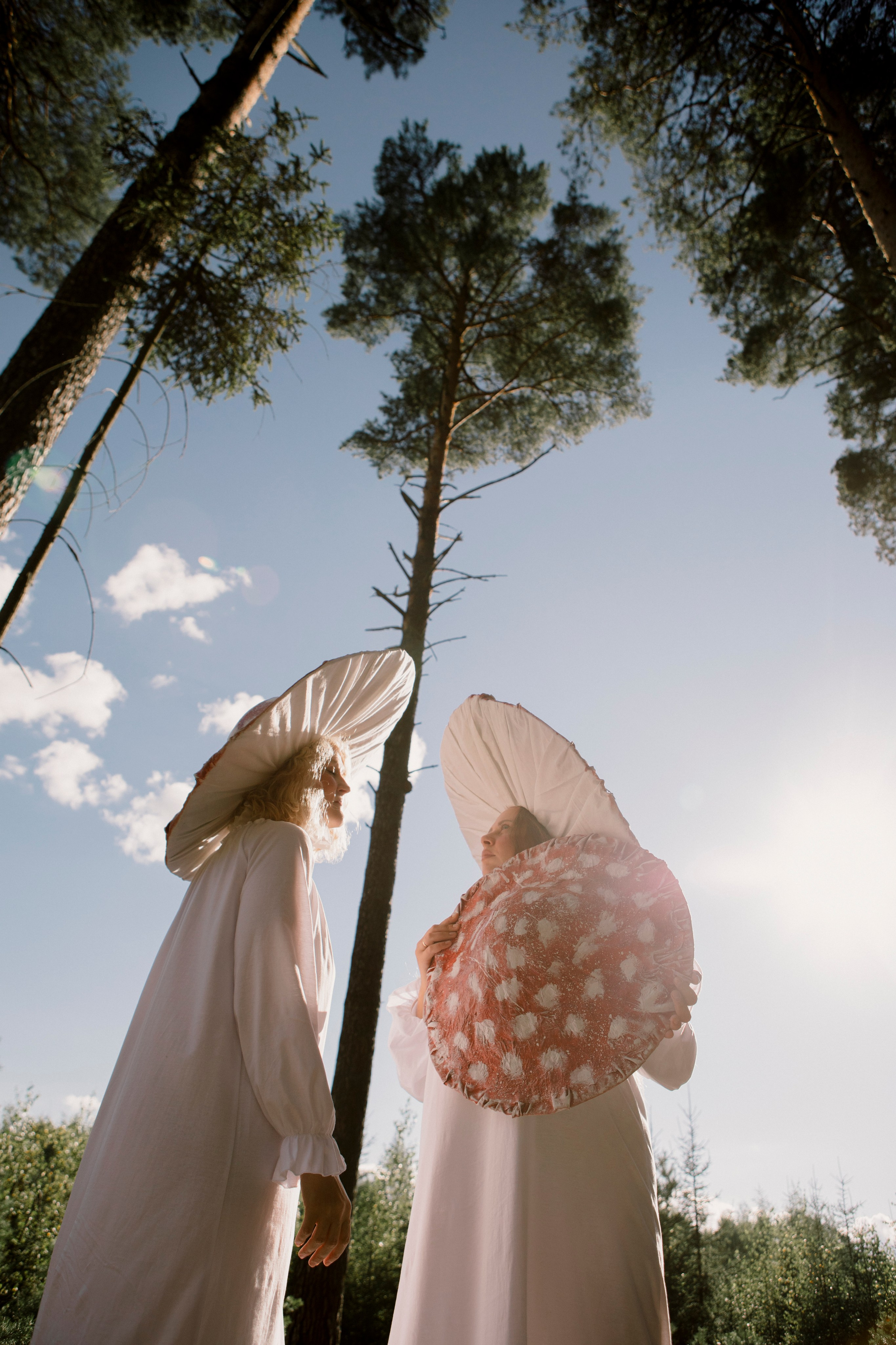 Грибы. Ольга Пилант. АРТ, бэкстейдж, свадебная и семейная фотография, городской портрет, интерьерная фотография