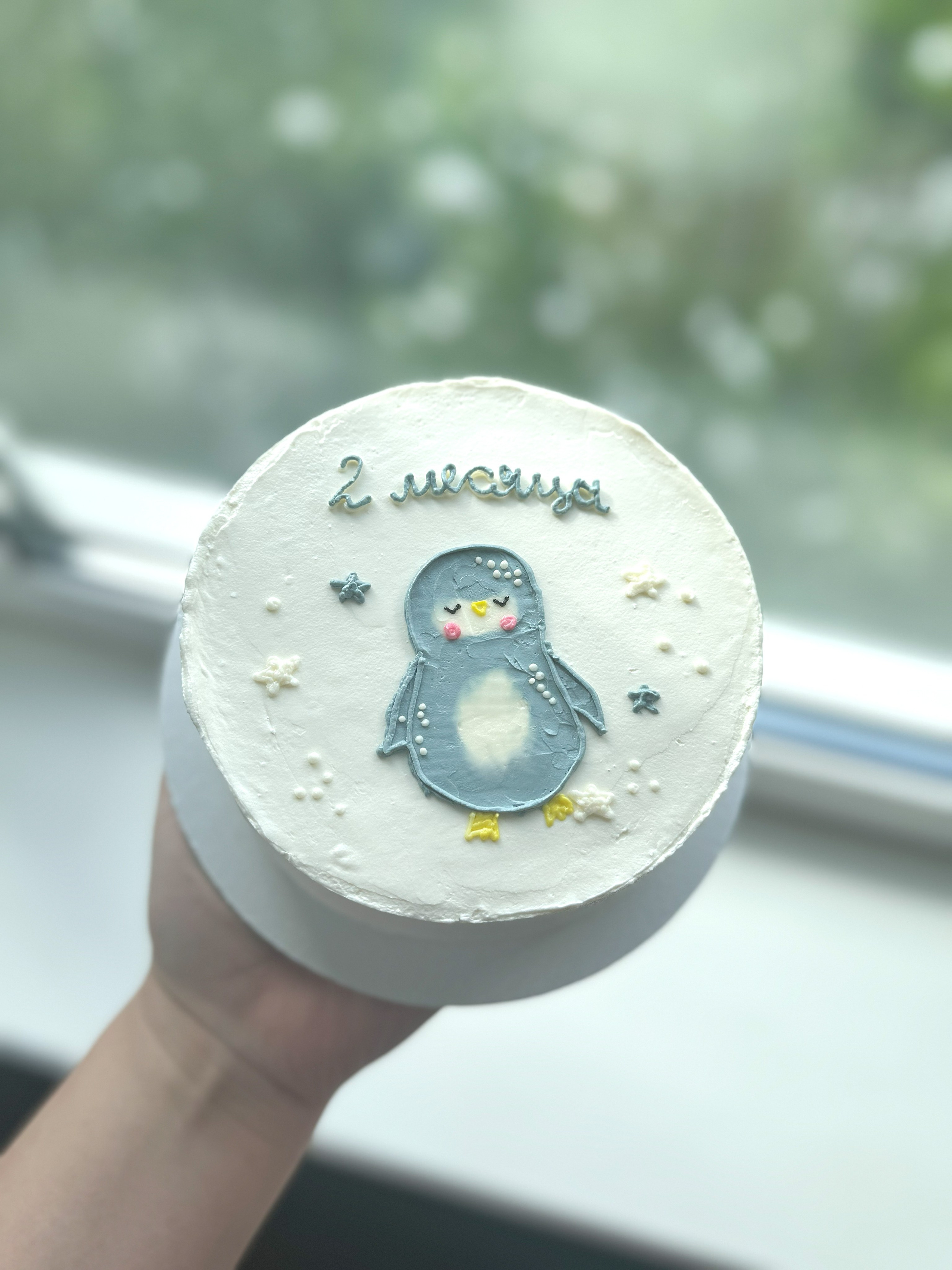 Бенто-торты. Кондитерская. Торты и десерты на заказ в Москве и области, город Химки