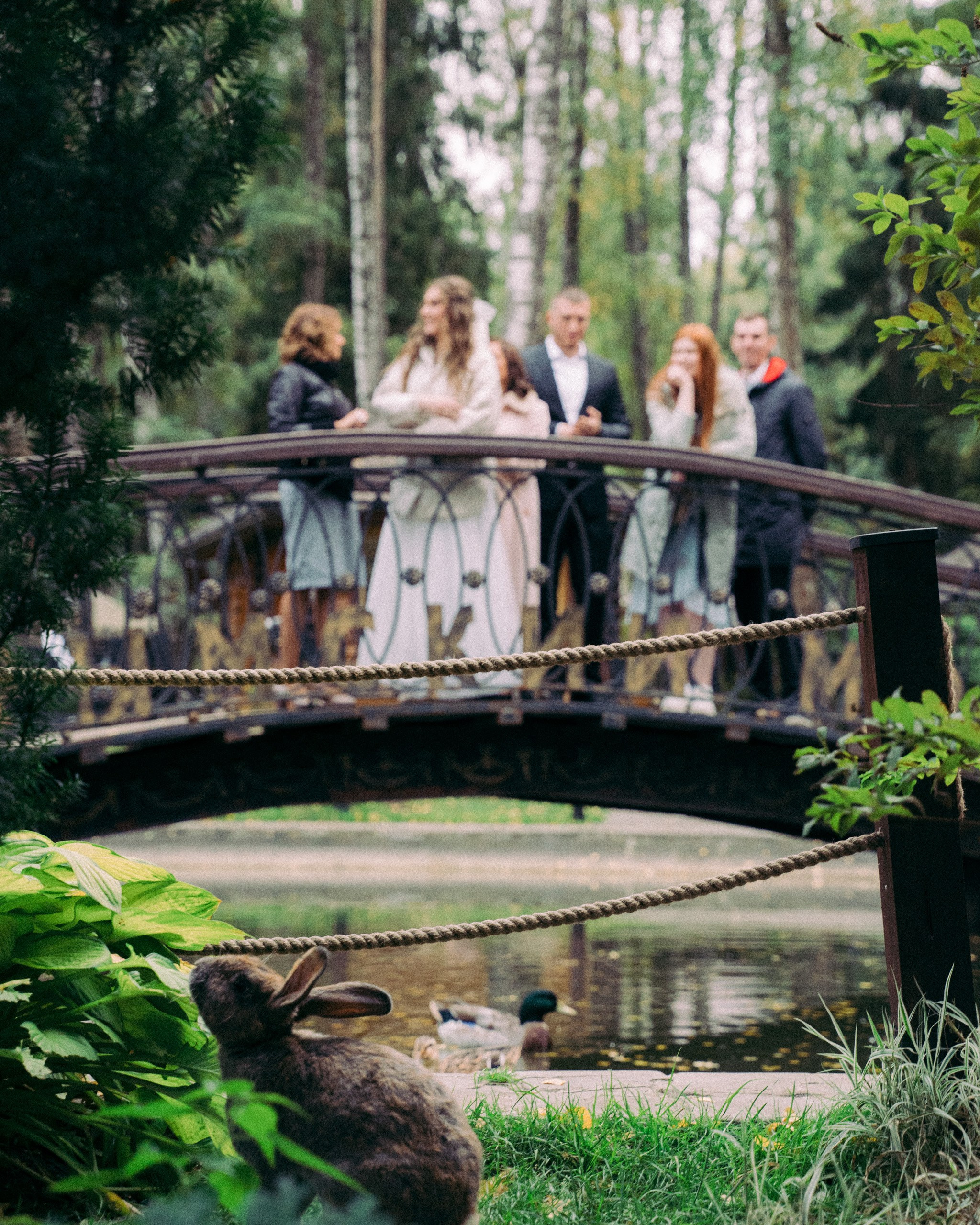 Bunny, bambi and ducks. Фотограф Серафим Крюков