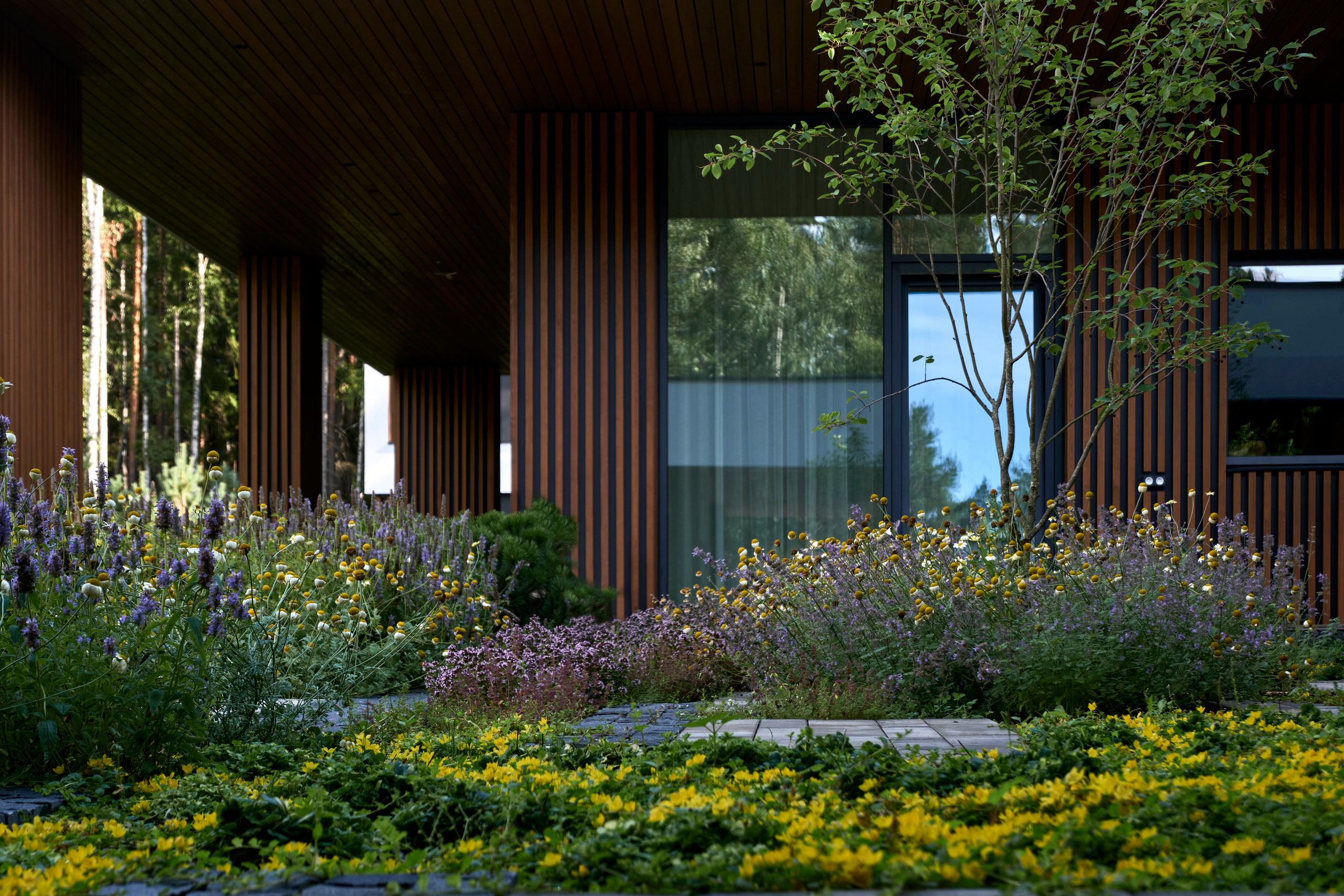 Ландшафтный и интерьерный фотограф Наталья Соловьева. Фотосъемка проекта сада Astragal для ландшафтной студии lburo | interioto