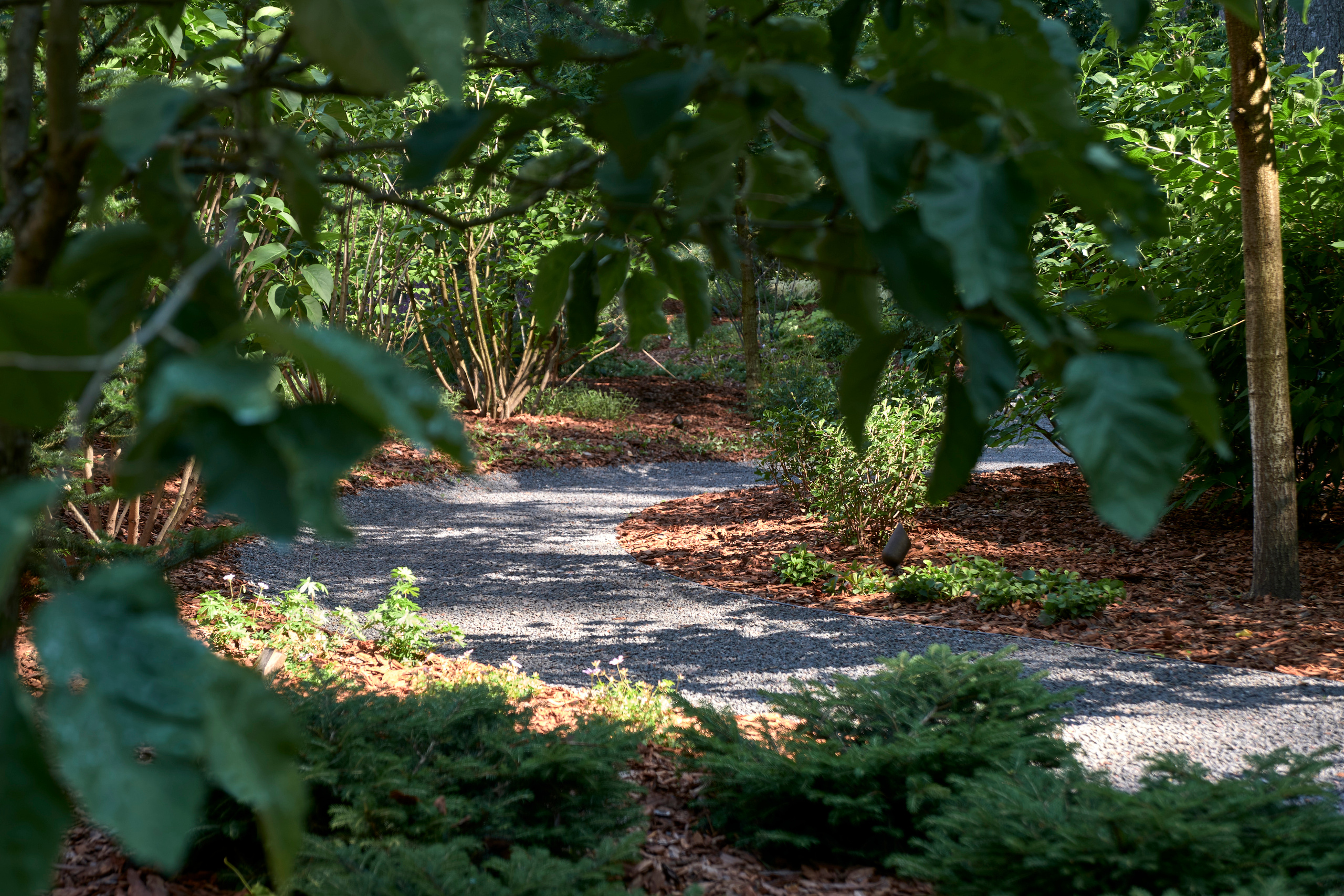 Ландшафтный и интерьерный фотограф Наталья Соловьева. Фотосъемка сада Усадьба Хрустальное для Валерия Федотова и ландшафтной студии lburo | interioto