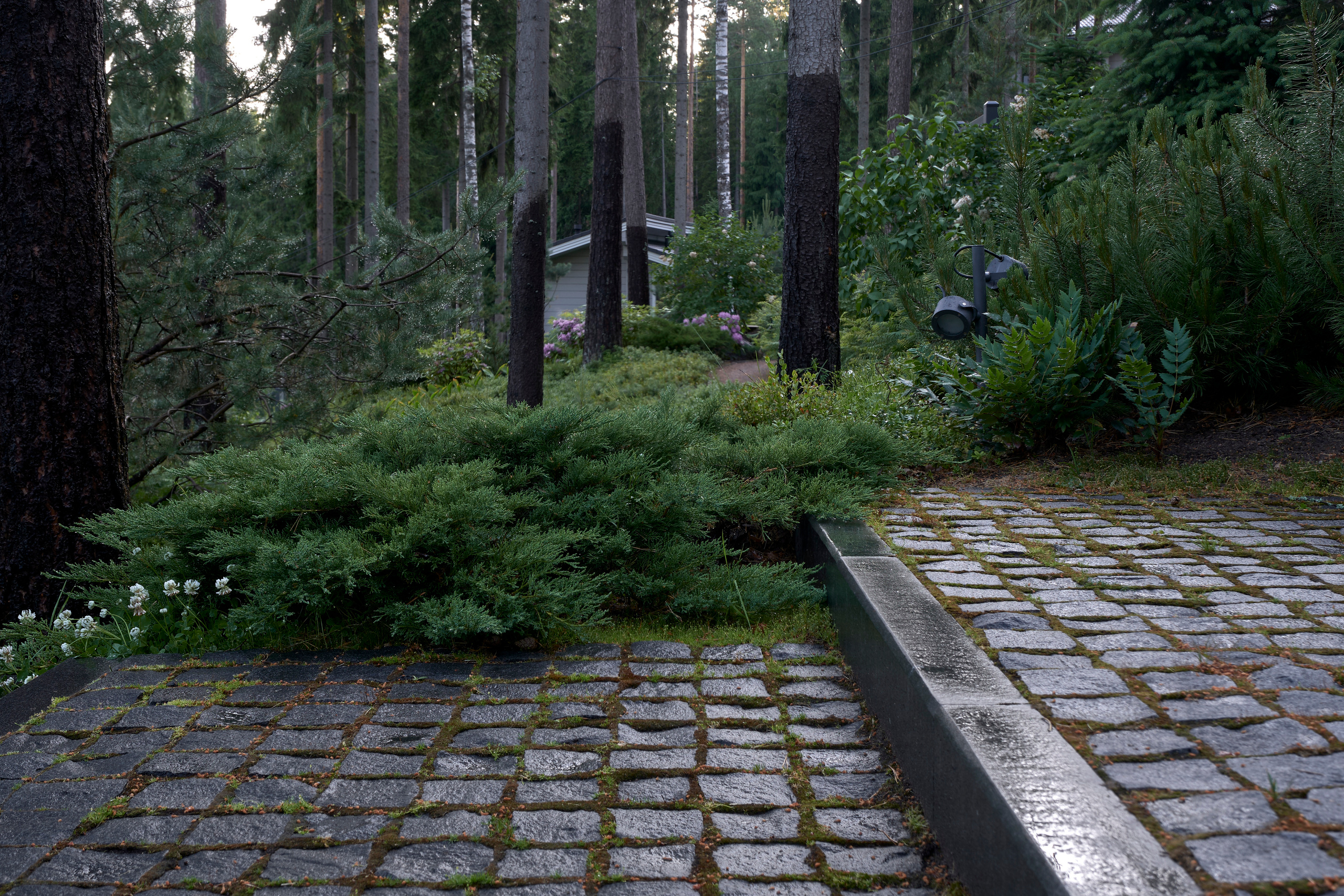 Ландшафтный и интерьерный фотограф Наталья Соловьева. Фотосъемка сада Hugel для ландшафтной студии lburo | interioto