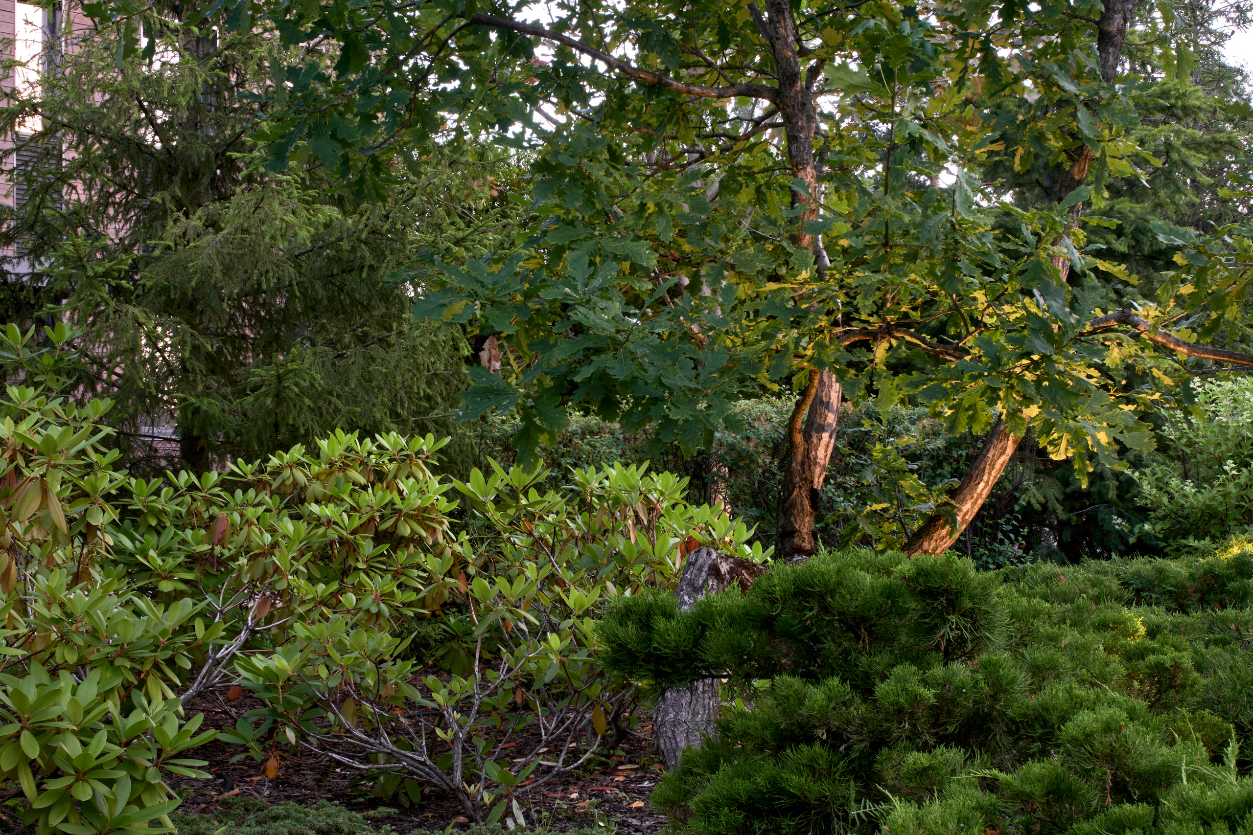 Ландшафтный и интерьерный фотограф Наталья Соловьева. Фотосъемка проекта Дивный сад для ландшафтной студии L.BURO | interioto