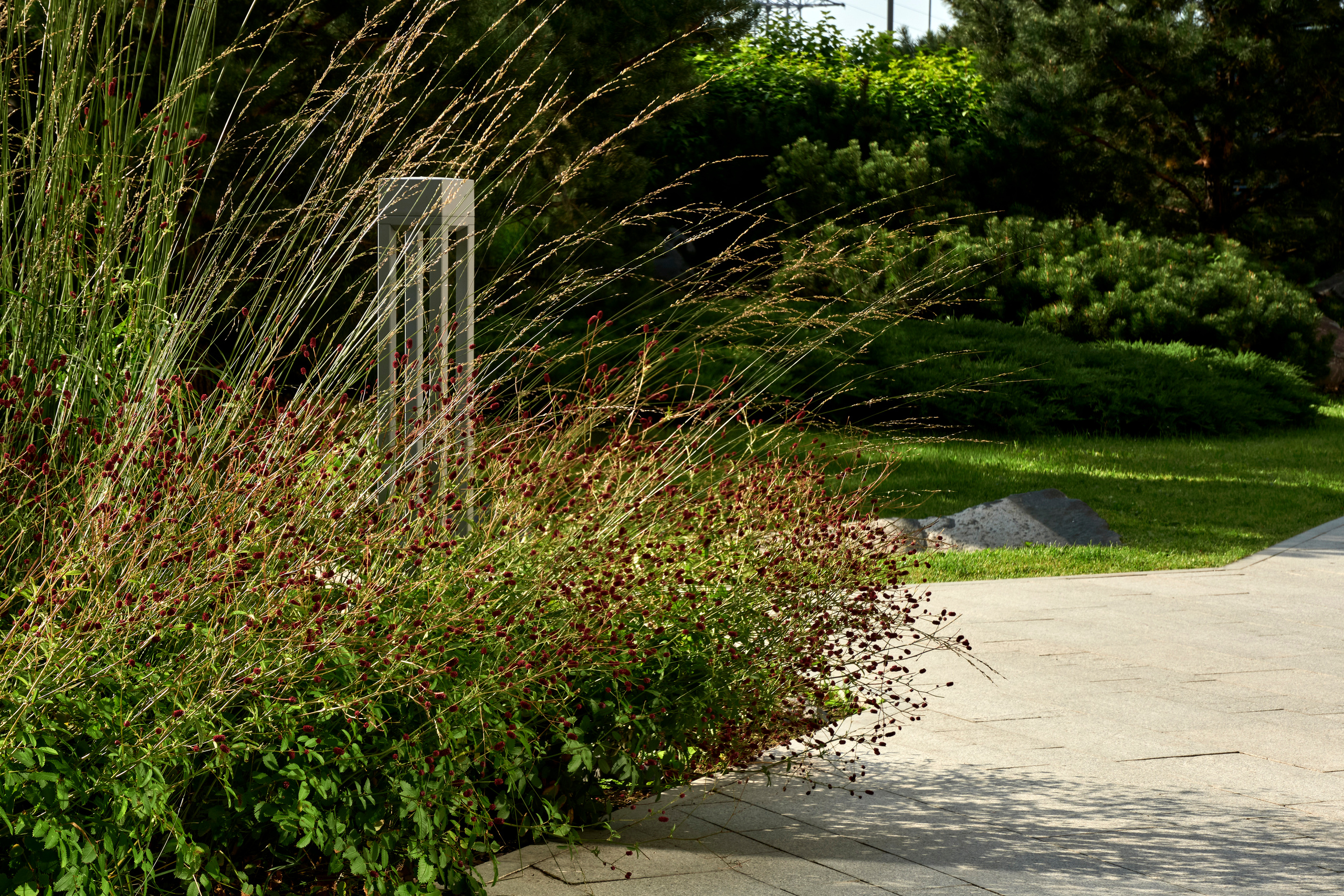 Ландшафтный и интерьерный фотограф Наталья Соловьева. Фотосъемка озеленения территории ЖК Bauhaus для ландшафтной студии lburo | interioto