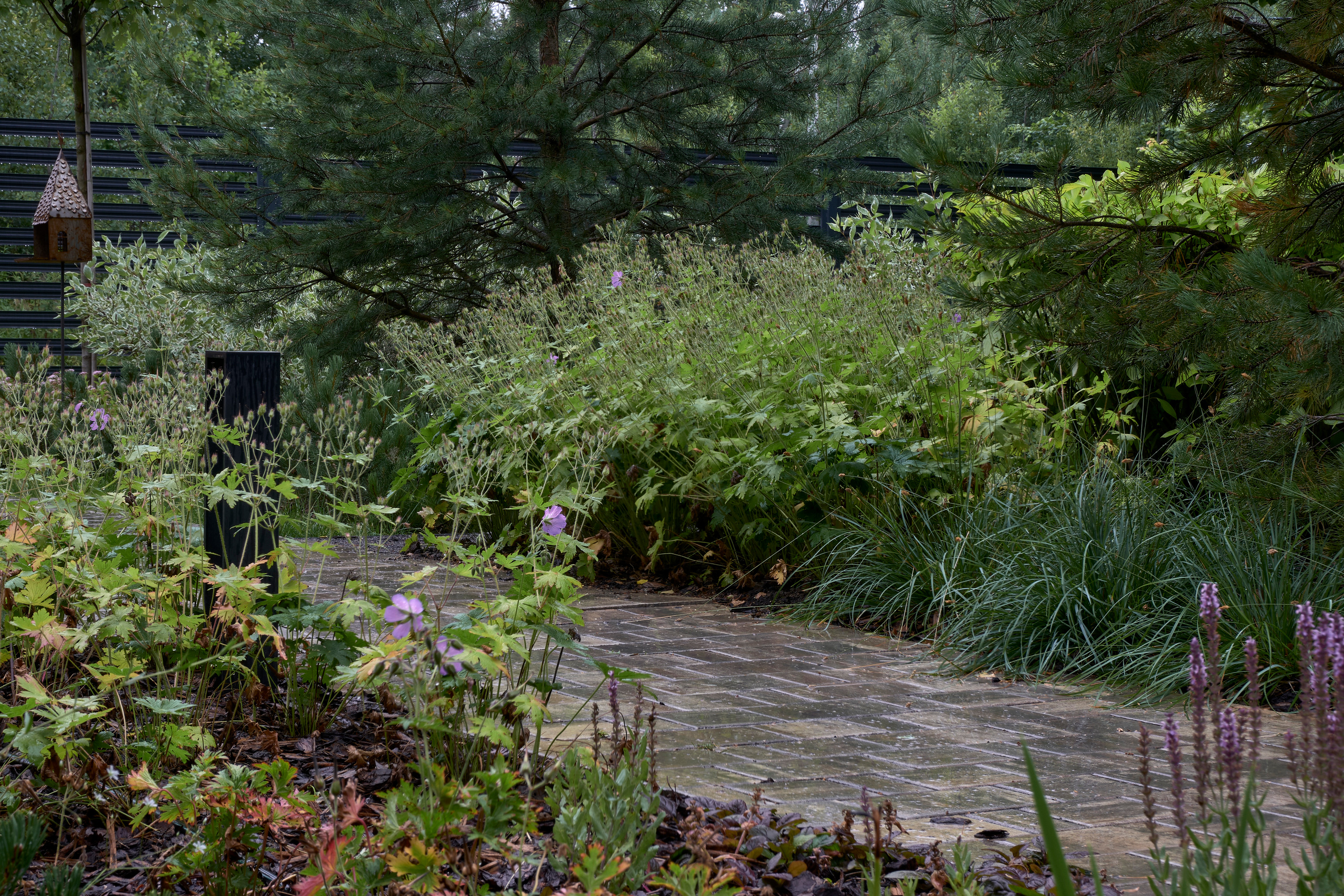 Ландшафтный и интерьерный фотограф Наталья Соловьева. Фотосъемка проекта сада Haus im wald для ландшафтной студии lburo | interioto