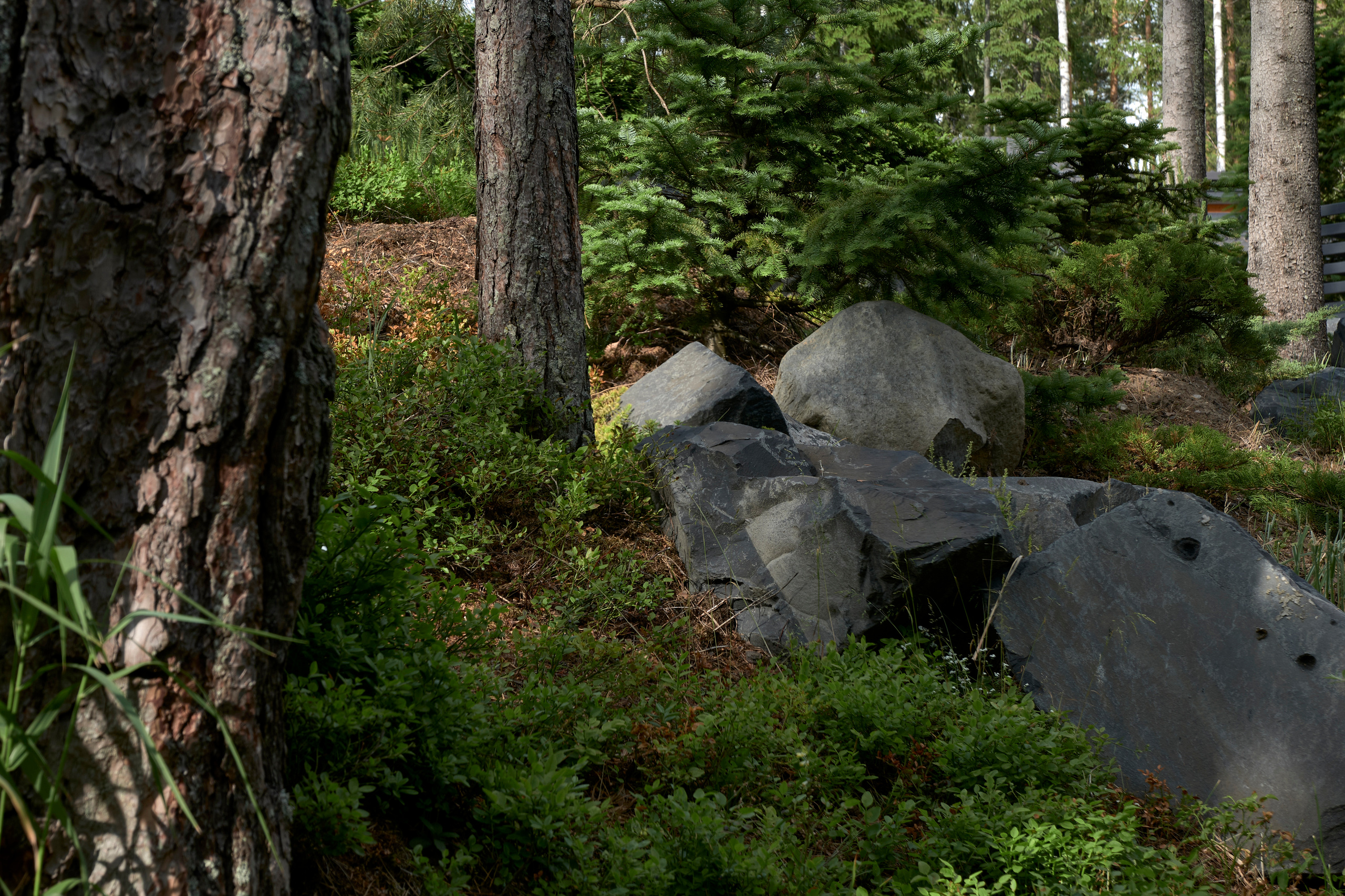 Ландшафтный и интерьерный фотограф Наталья Соловьева. Фотосъемка сада Hugel для ландшафтной студии lburo | interioto