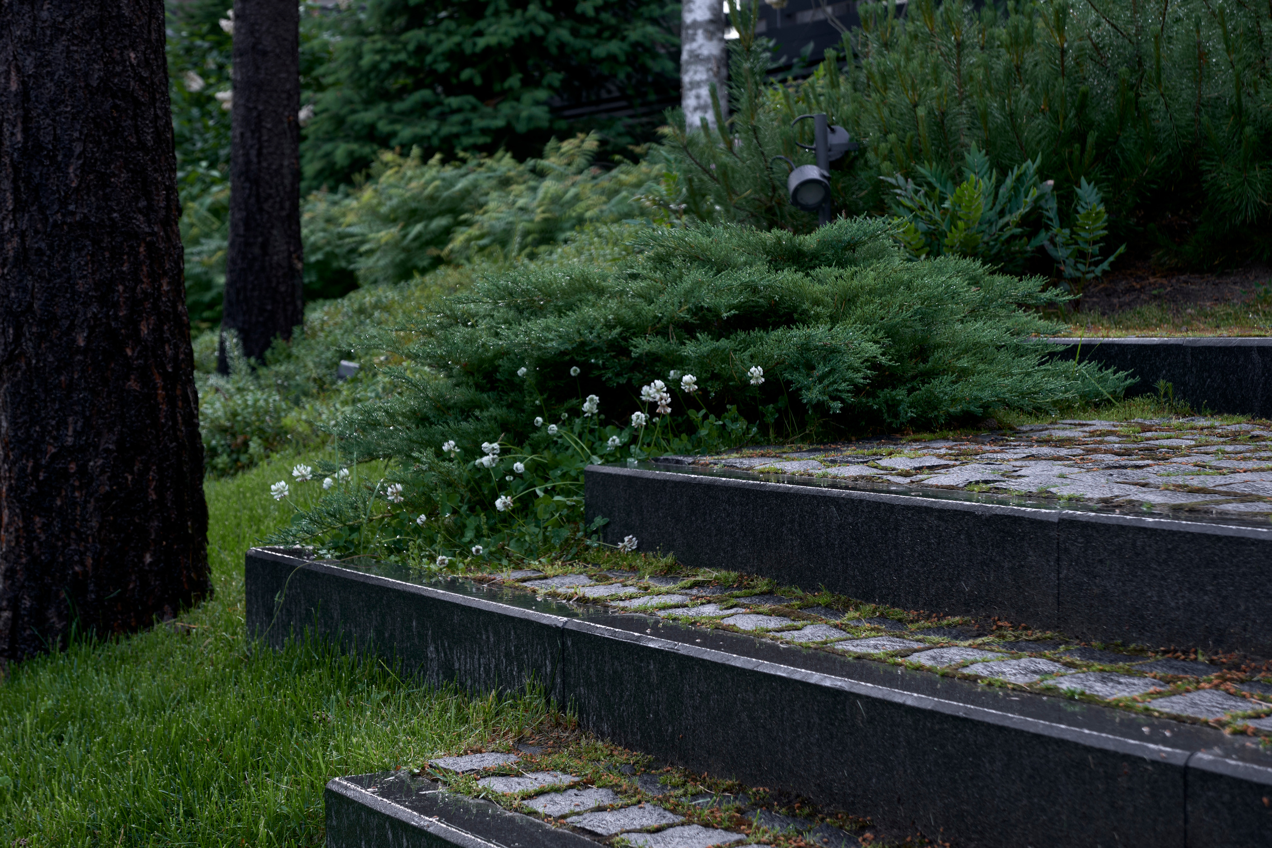 Ландшафтный и интерьерный фотограф Наталья Соловьева. Фотосъемка сада Hugel для ландшафтной студии lburo | interioto