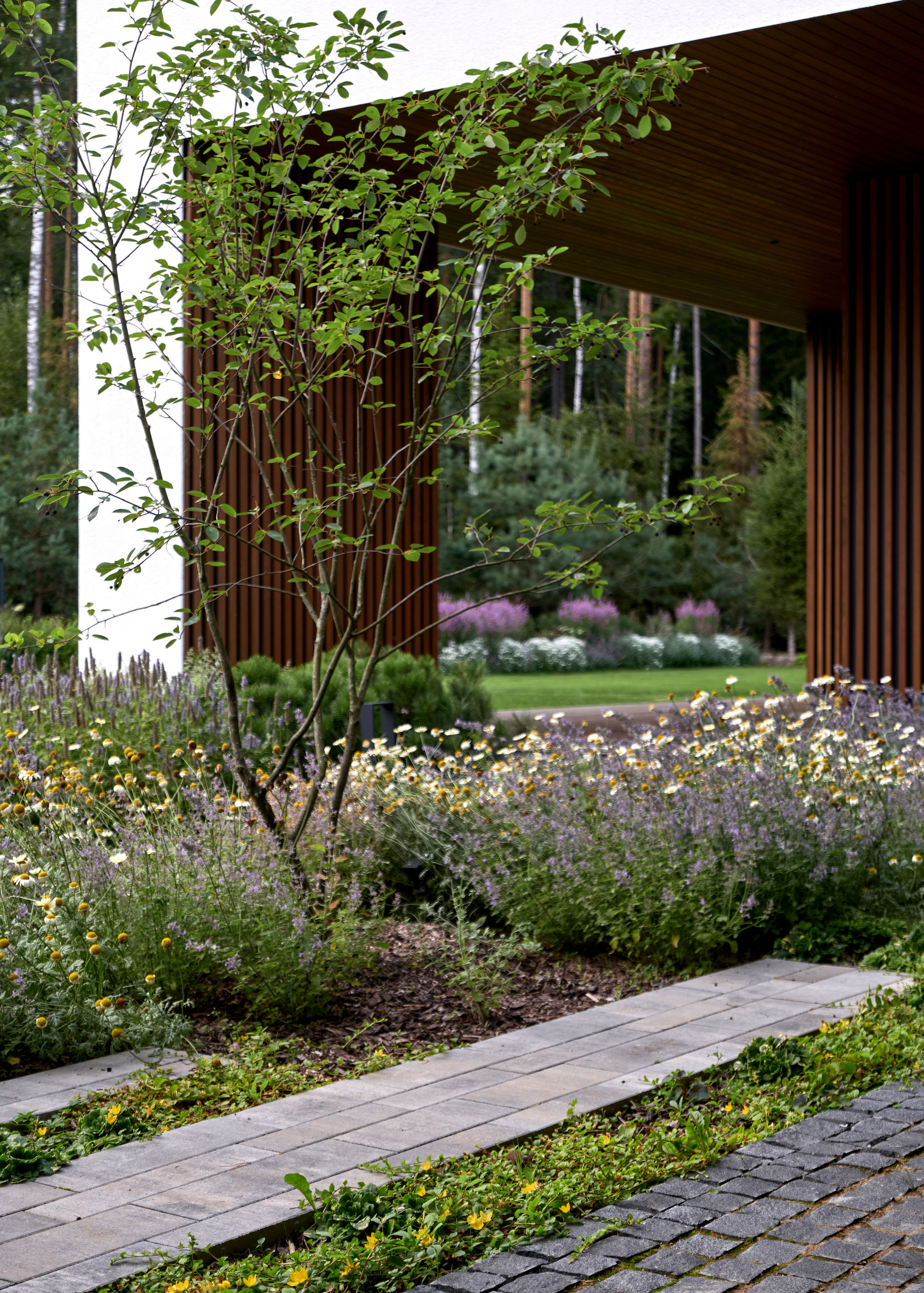 Ландшафтный и интерьерный фотограф Наталья Соловьева. Фотосъемка проекта сада Astragal для ландшафтной студии lburo | interioto