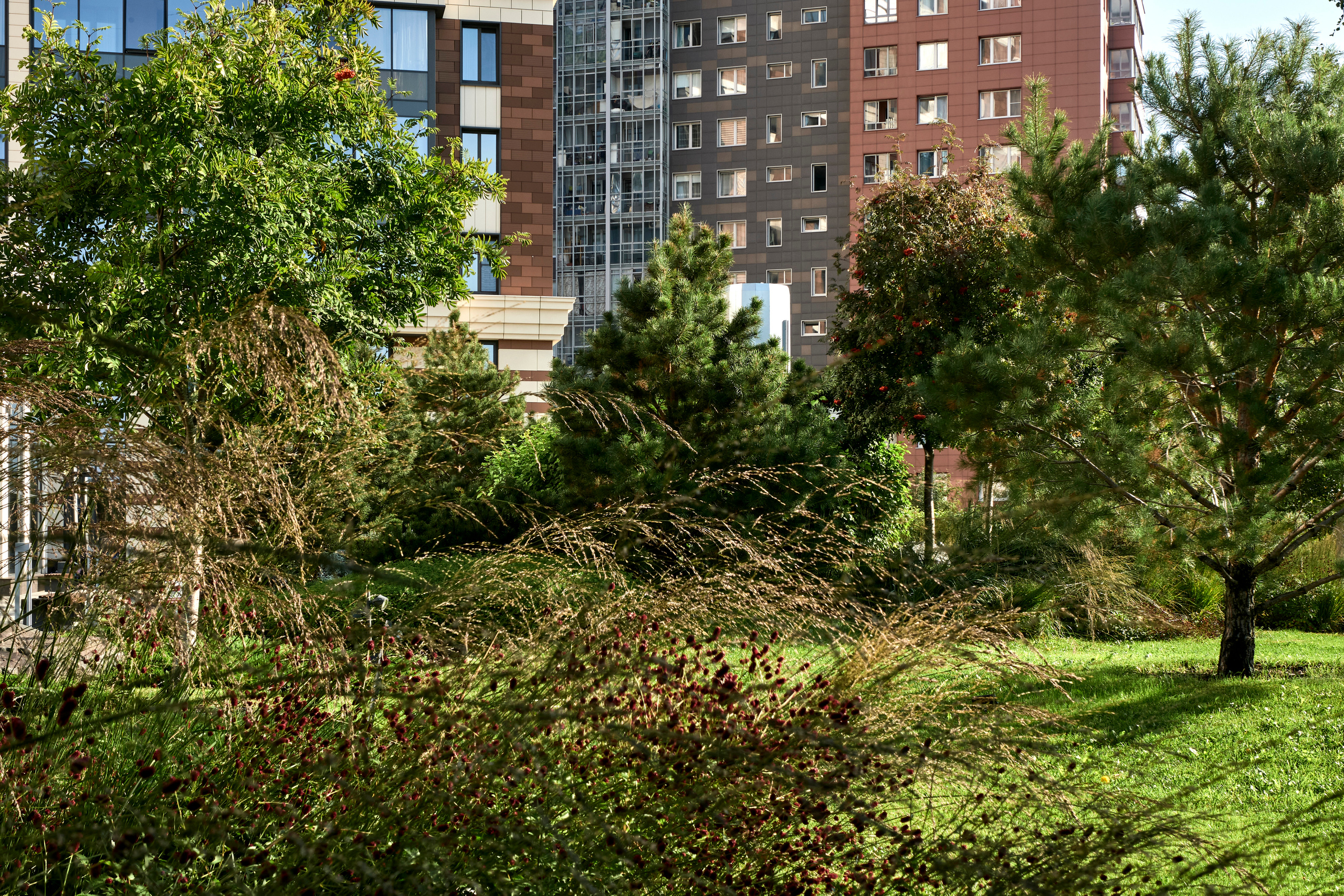 Ландшафтный и интерьерный фотограф Наталья Соловьева. Фотосъемка озеленения территории ЖК Bauhaus для ландшафтной студии lburo | interioto