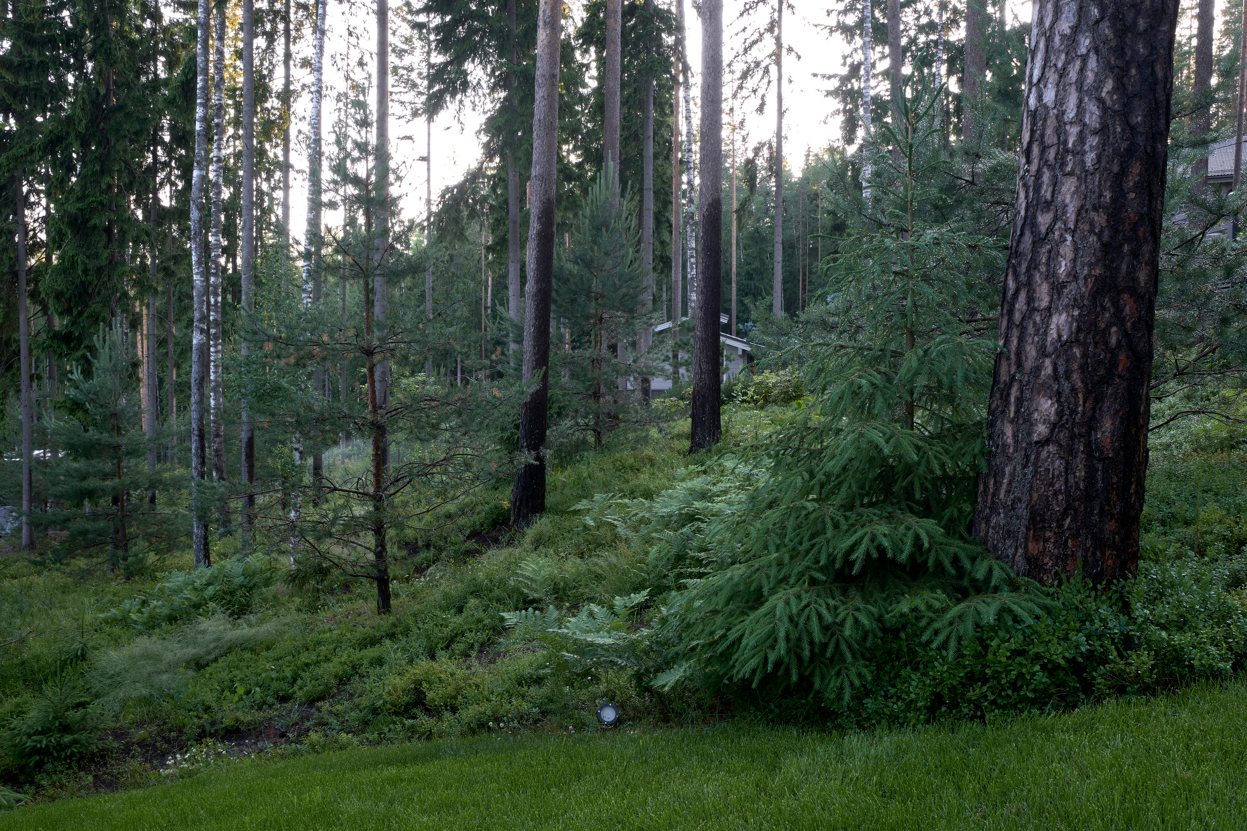 Ландшафтный и интерьерный фотограф Наталья Соловьева. Фотосъемка сада Hugel для ландшафтной студии lburo | interioto